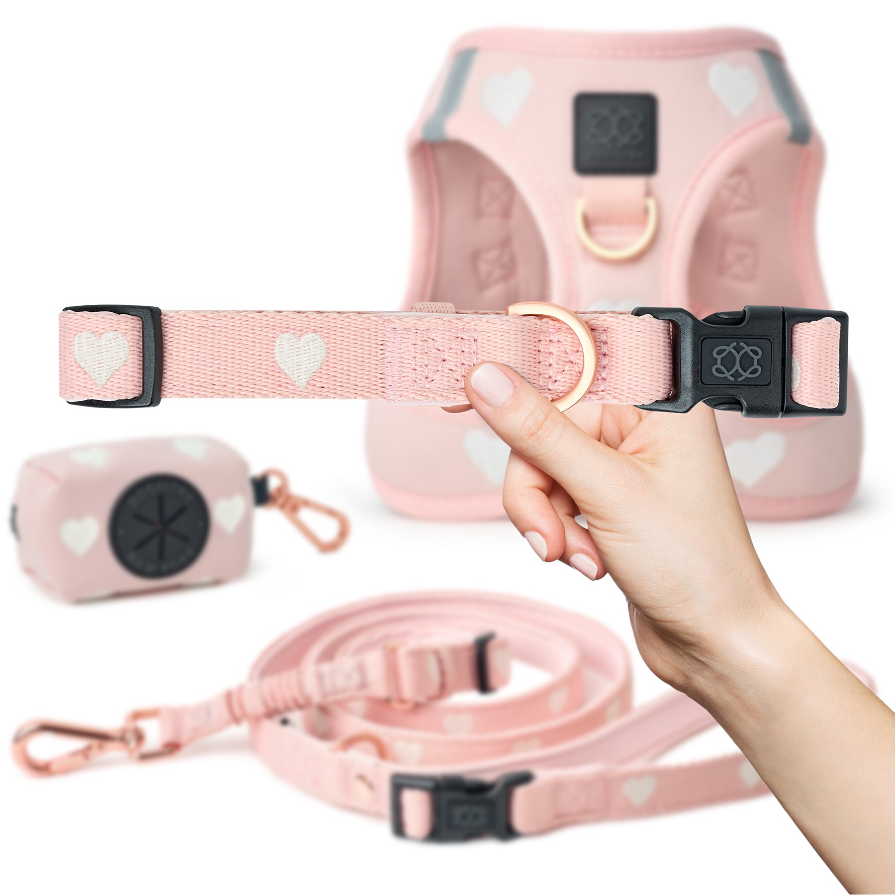 designer dog leashes and collars, designer dog collar and leash, pet accessories designer, fancy harness for dogs, luxury dog harness, fancy dog stuff, pet accessories designer, stylish dog leash