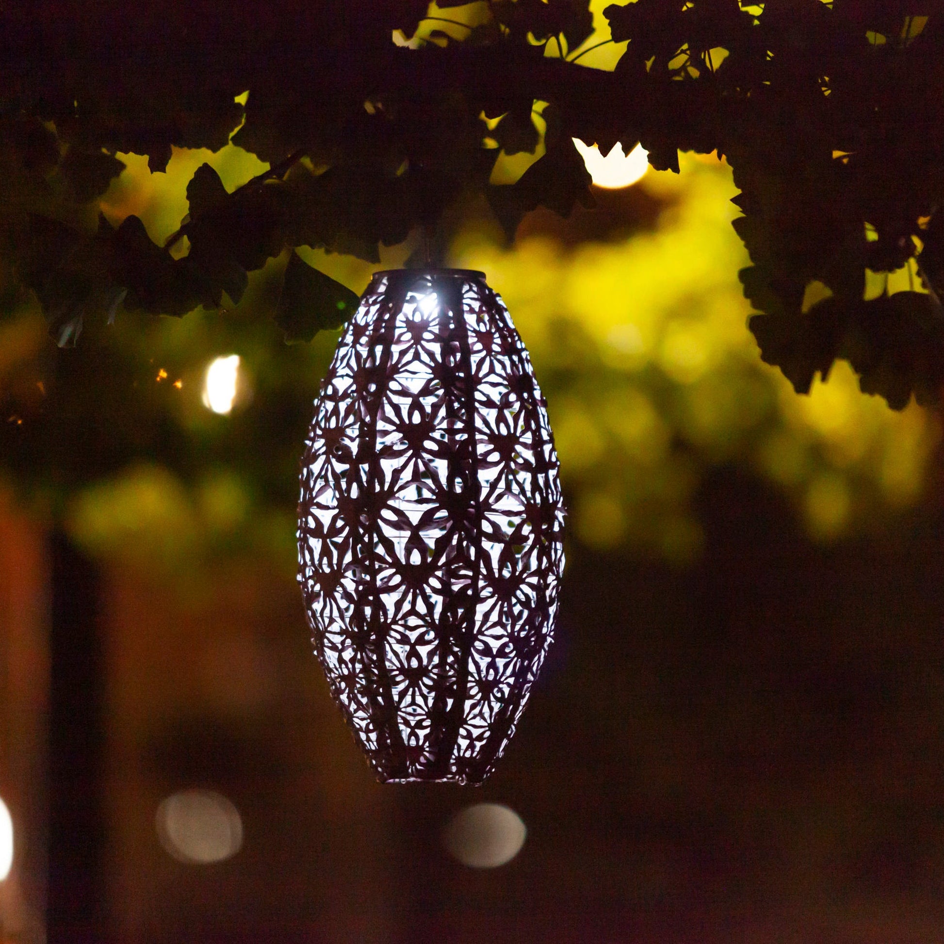 Stella Wildflower Pod Blush glowing at night
