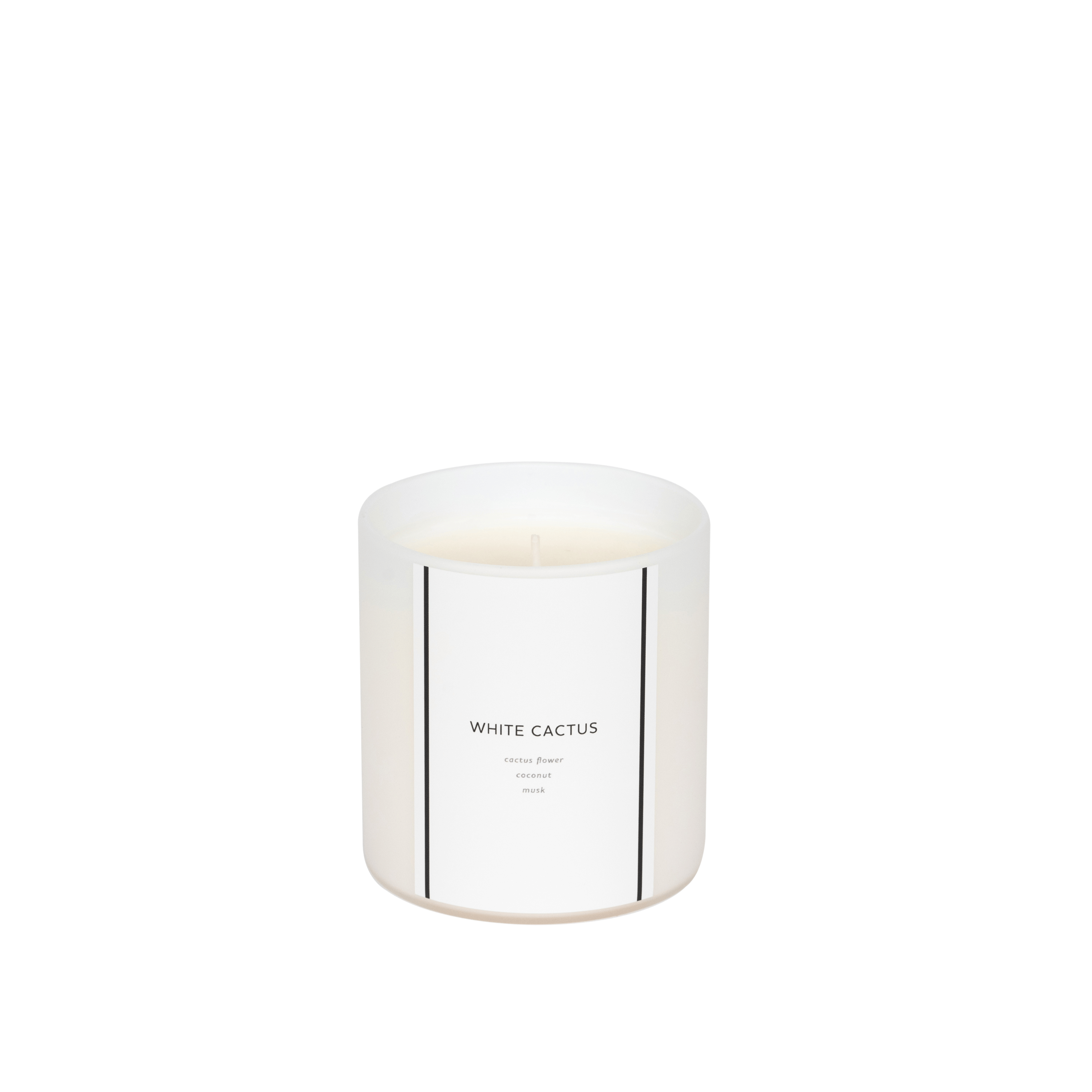 White Cactus | 10 oz