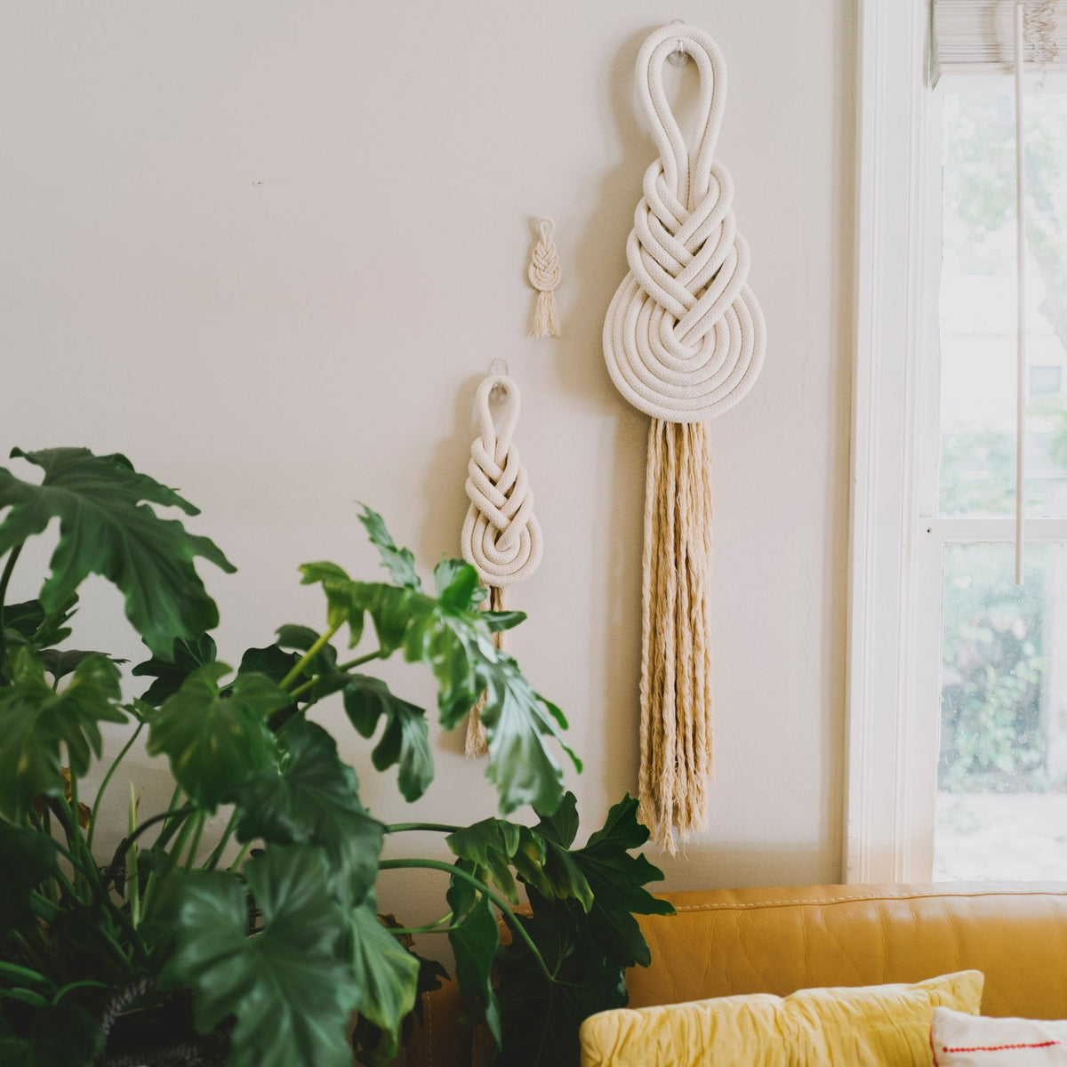 Pippa large rope knot wall hanging beside a smaller one above a plant