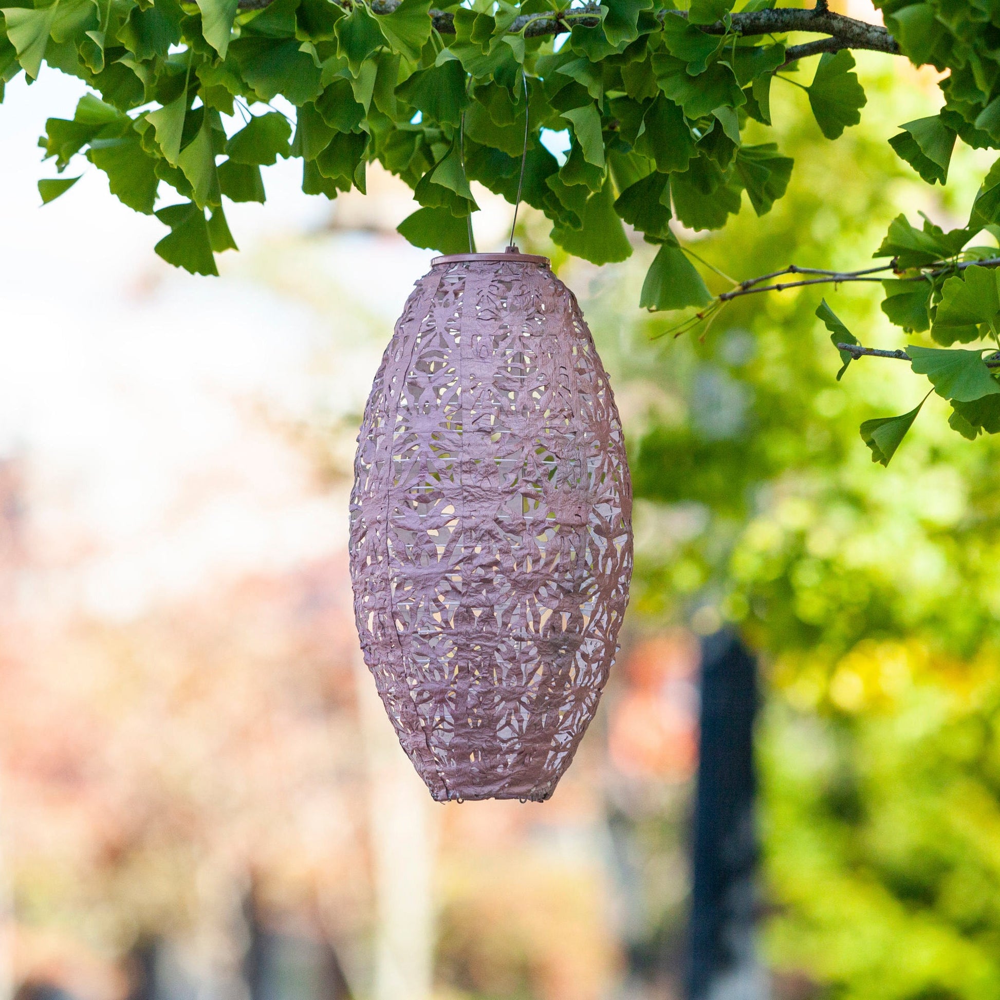 Stella Wildflower Pod Blush hanging in tree