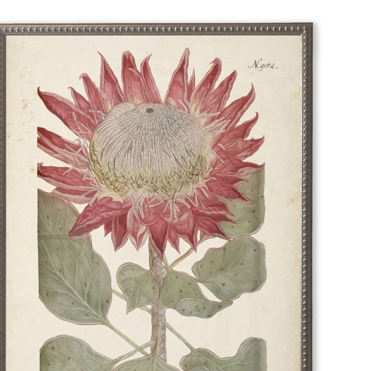 Red Flower in Silver-Beaded Frame