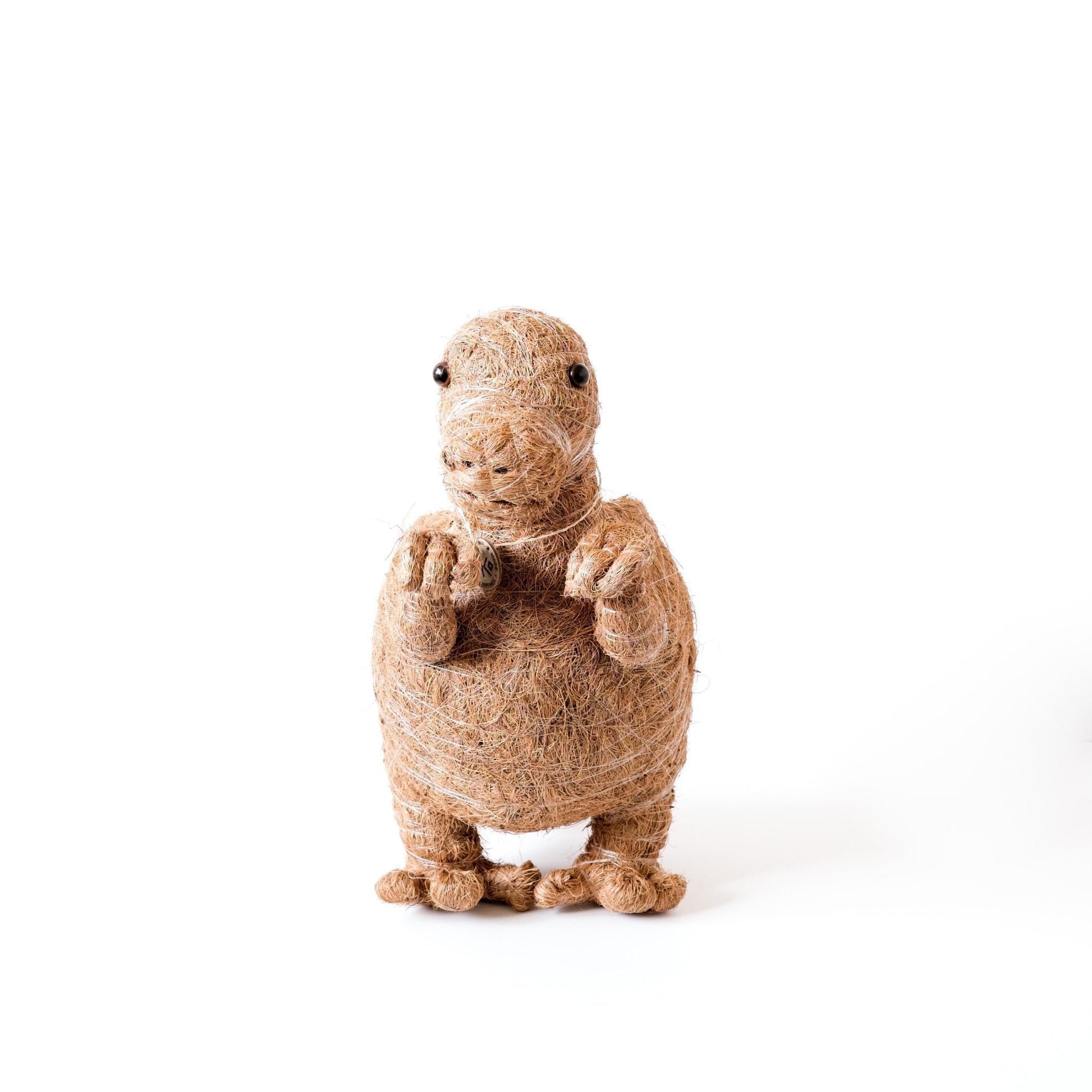 Planters - T-Rex Planter - Coco Coir Pots | LIKHÂ - LIKHÂ
