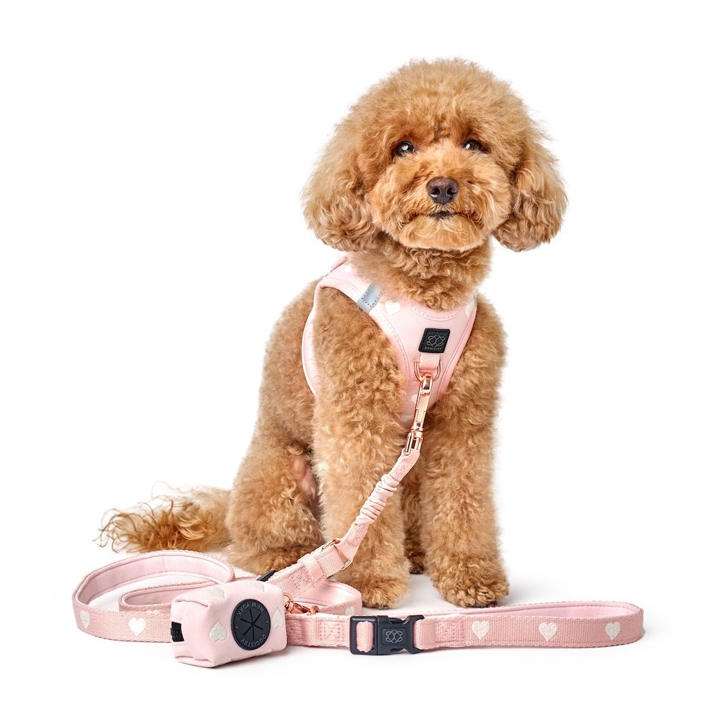 Poop Bag Holder - Sweetheart - Dogistry™
