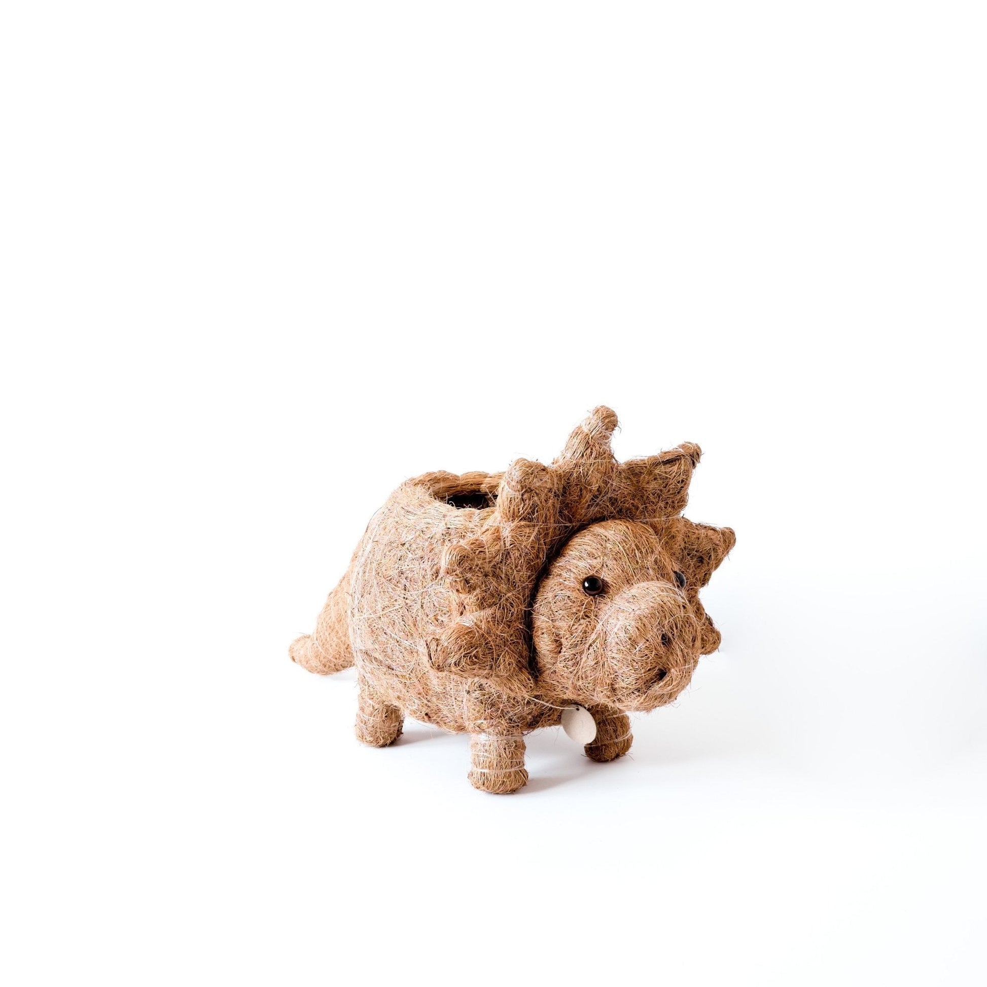 Planters - Triceratops Planter - Coco Coir Pots | LIKHÂ - LIKHÂ