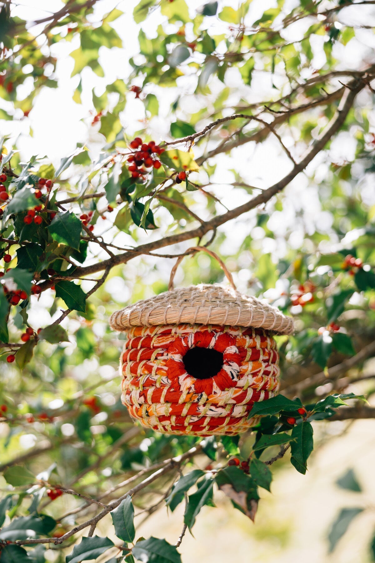 Acorn Sari Birdhouse - Thumbnail 5