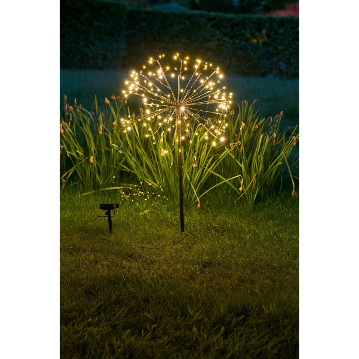 Solar Dandelion Light | Dandelion Garden Lights | Lumina Of London