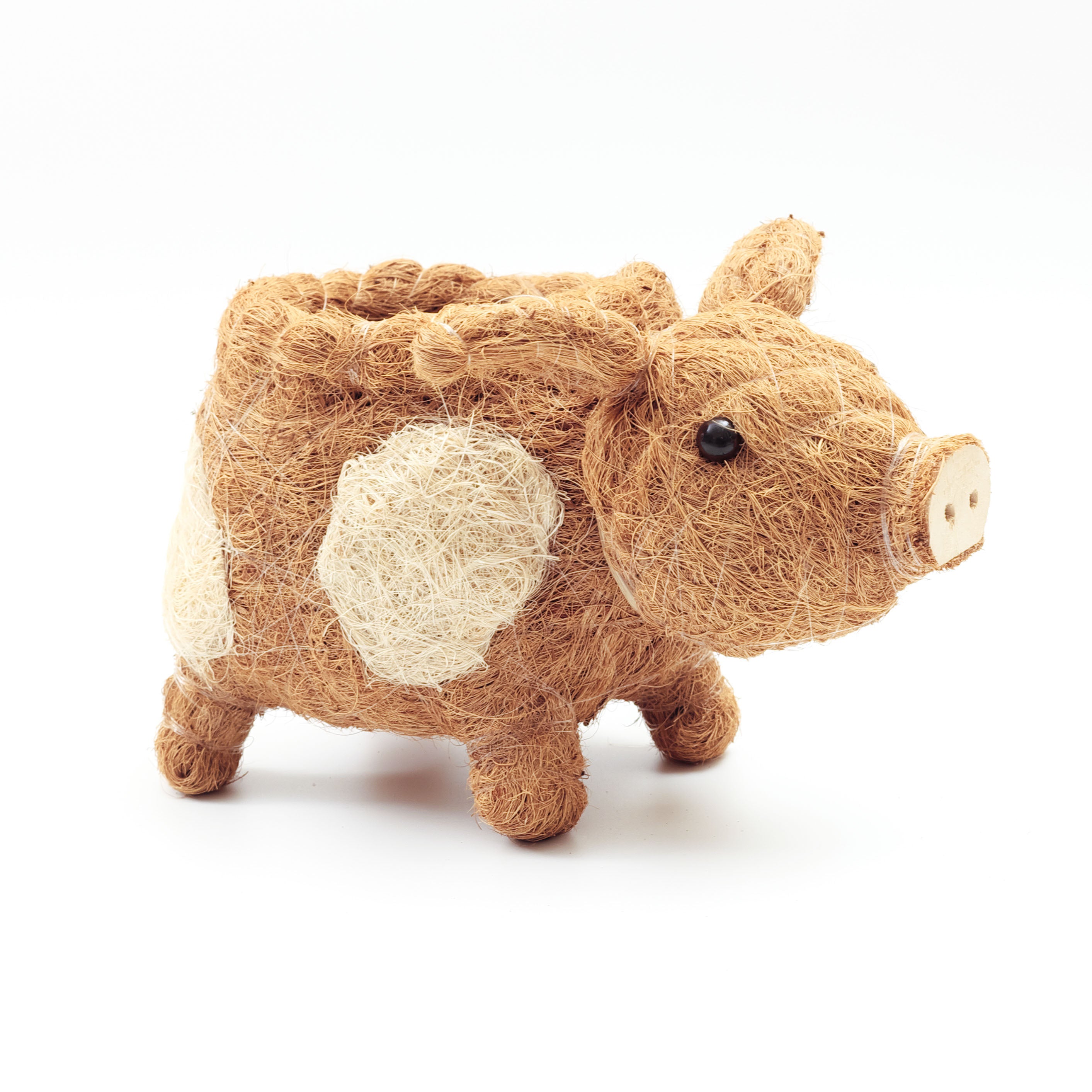 Baby Pig Succulent Pot