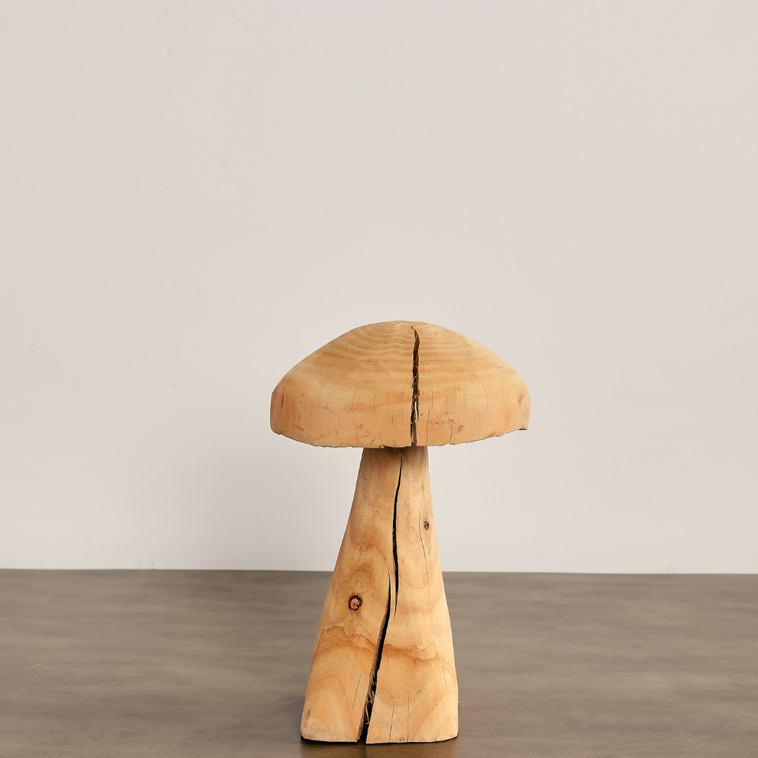 Eucalyptus wood Mushroom 