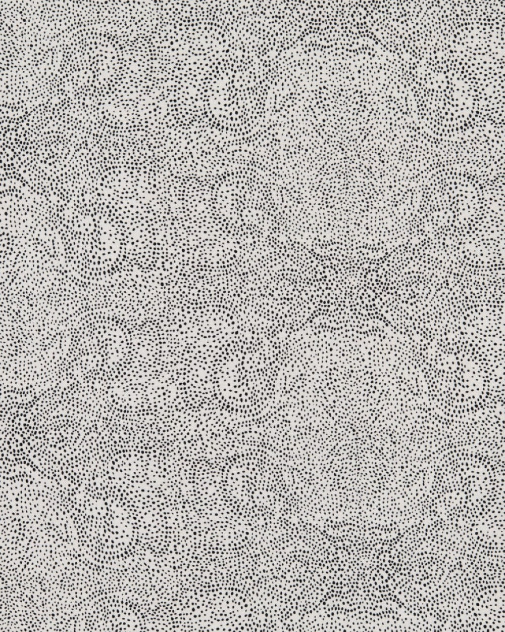 Black and White Fabric Swatch Set - at300nelson