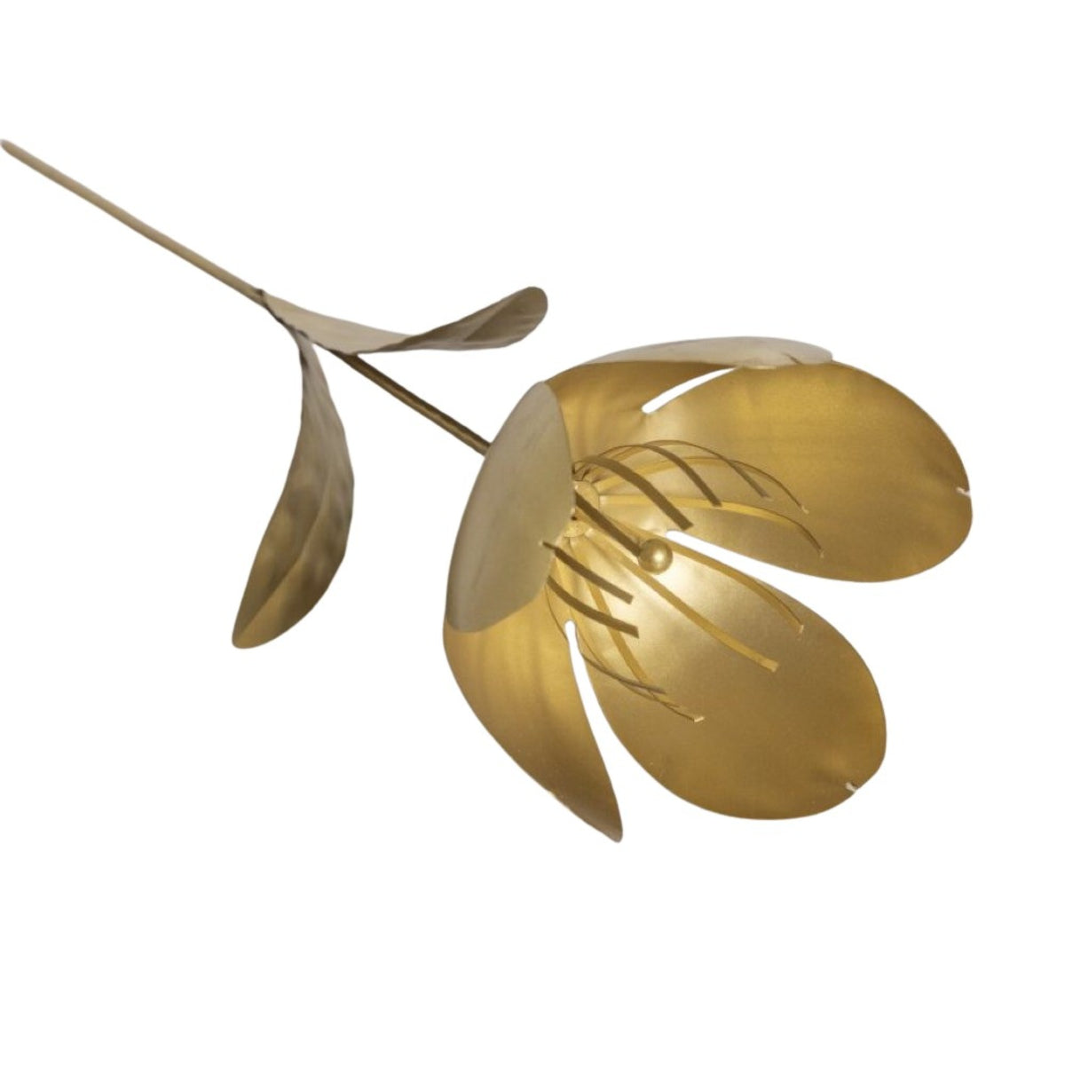 Botanical Stem, Tulip