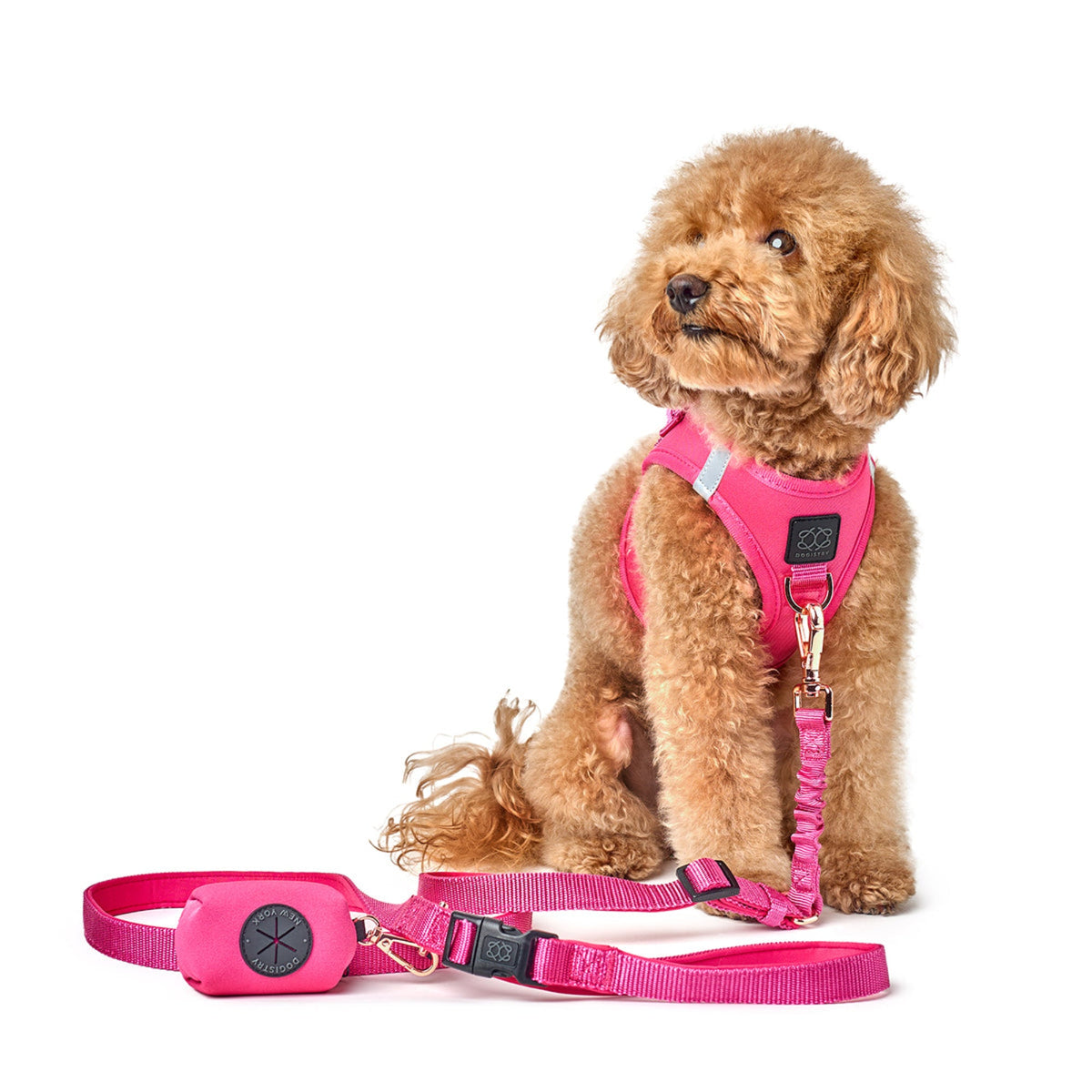 designer dog leashes and collars, designer dog collar and leash, pet accessories designer, fancy harness for dogs, luxury dog harness, fancy dog stuff, pet accessories designer, stylish dog leash