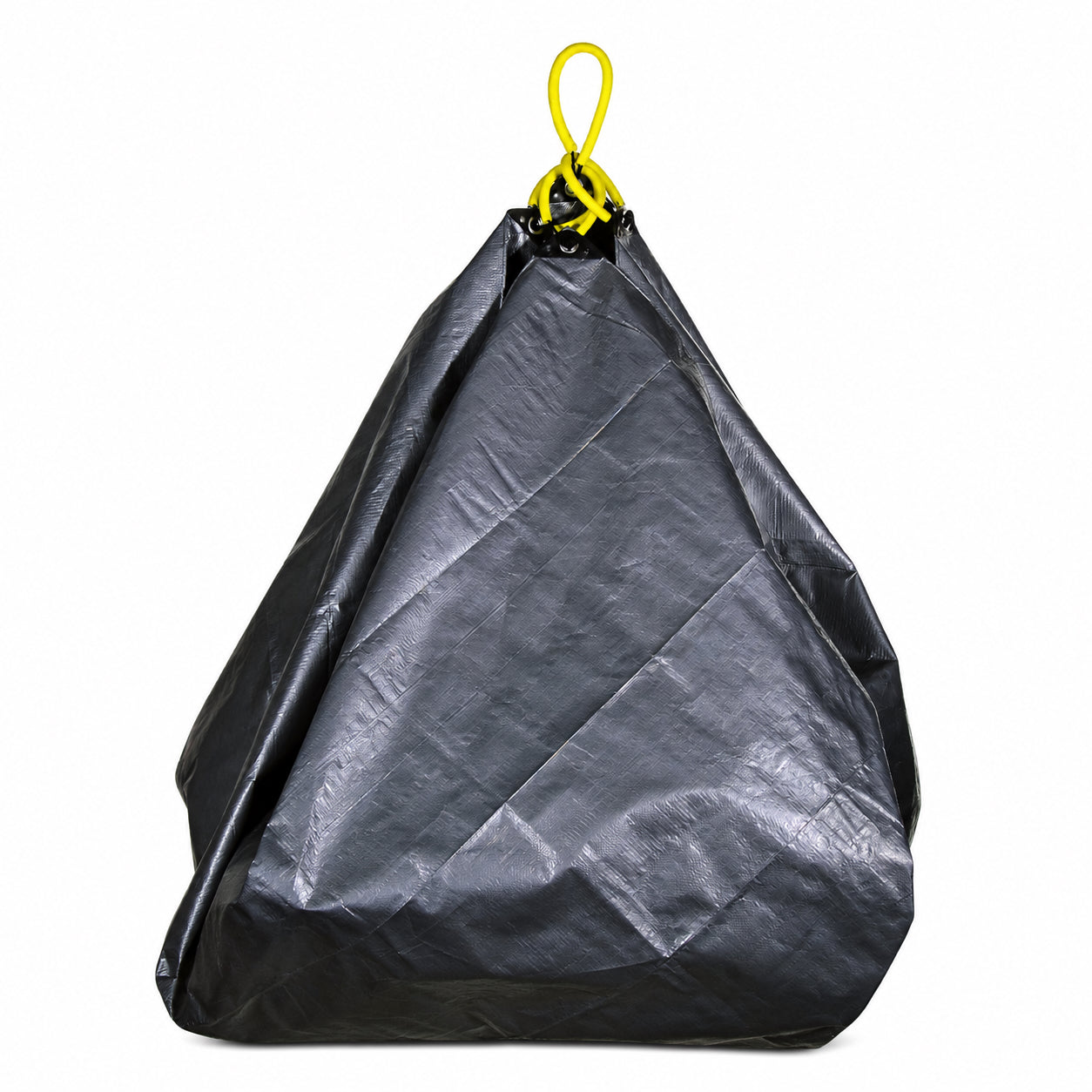 Clean Up Canvas studio image
