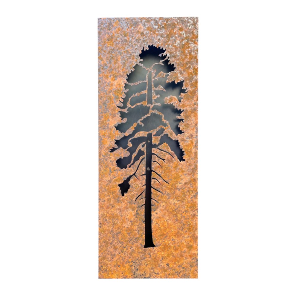 Ponderosa Pine