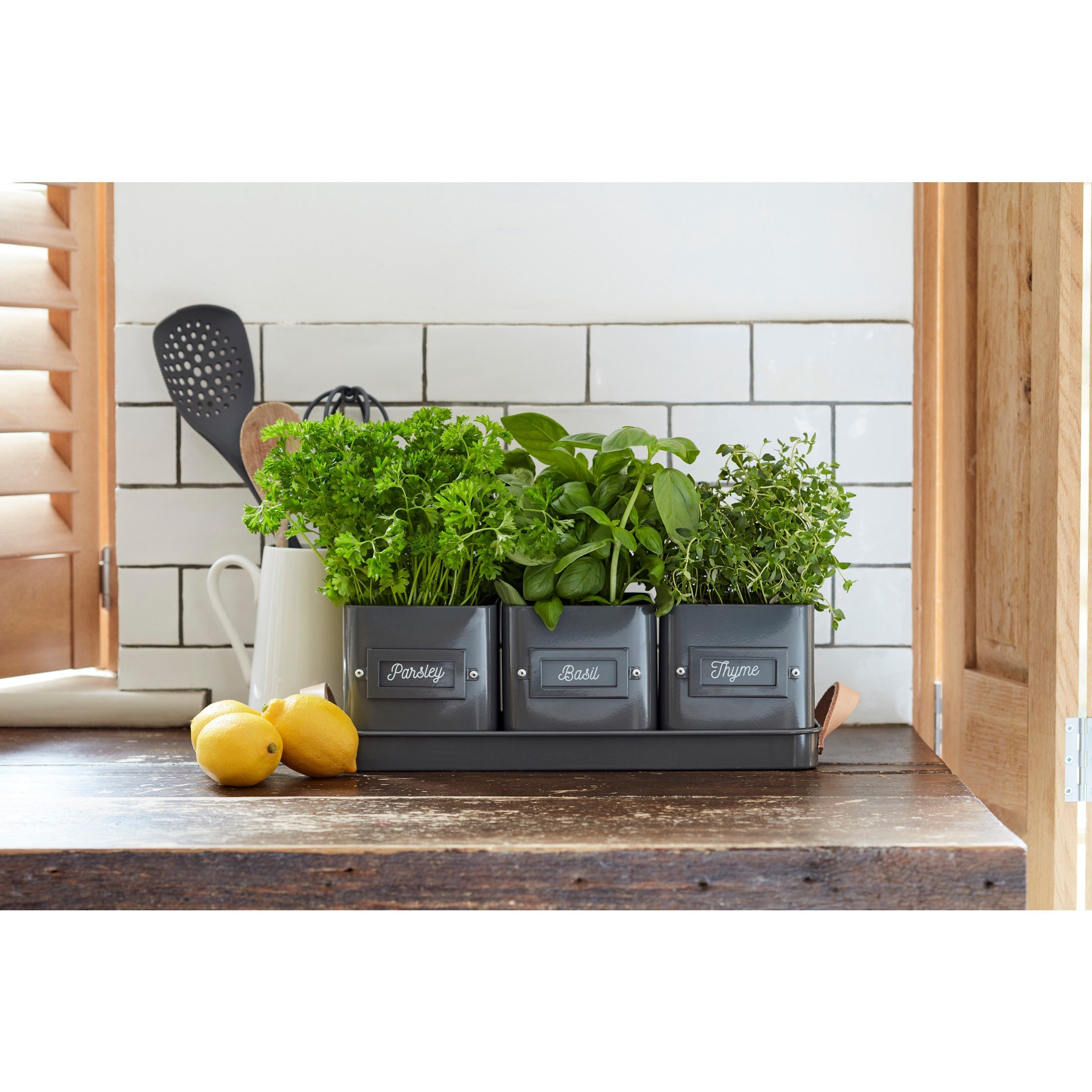 Burgon & Ball® 3 Herb Pots with Leather Handled Tray, Charcoal