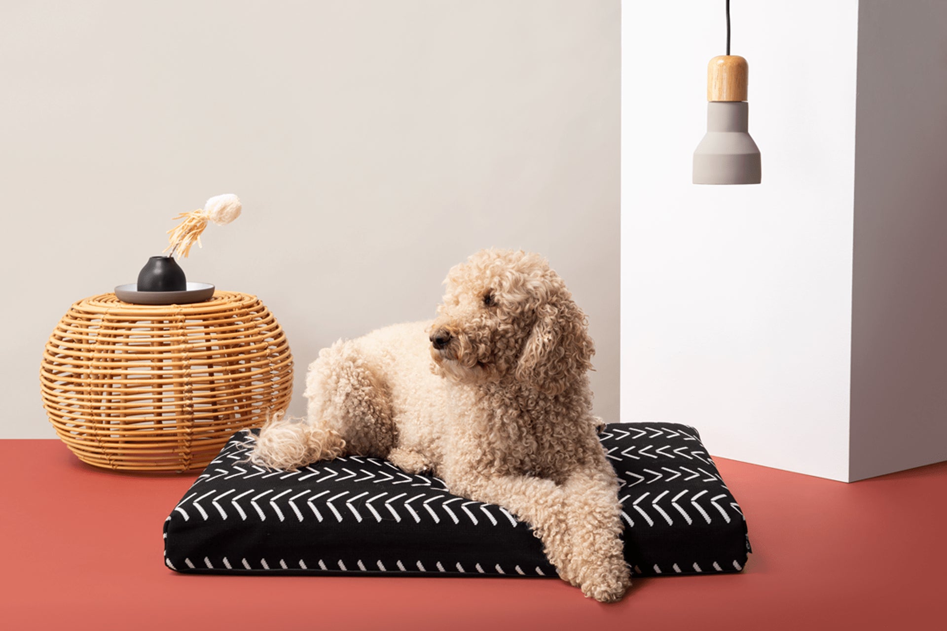 Laylo Pets Boho LAY LO Pets - Black Chevron Boho Dog Bed or Bed Cover Lay Lo Pets
