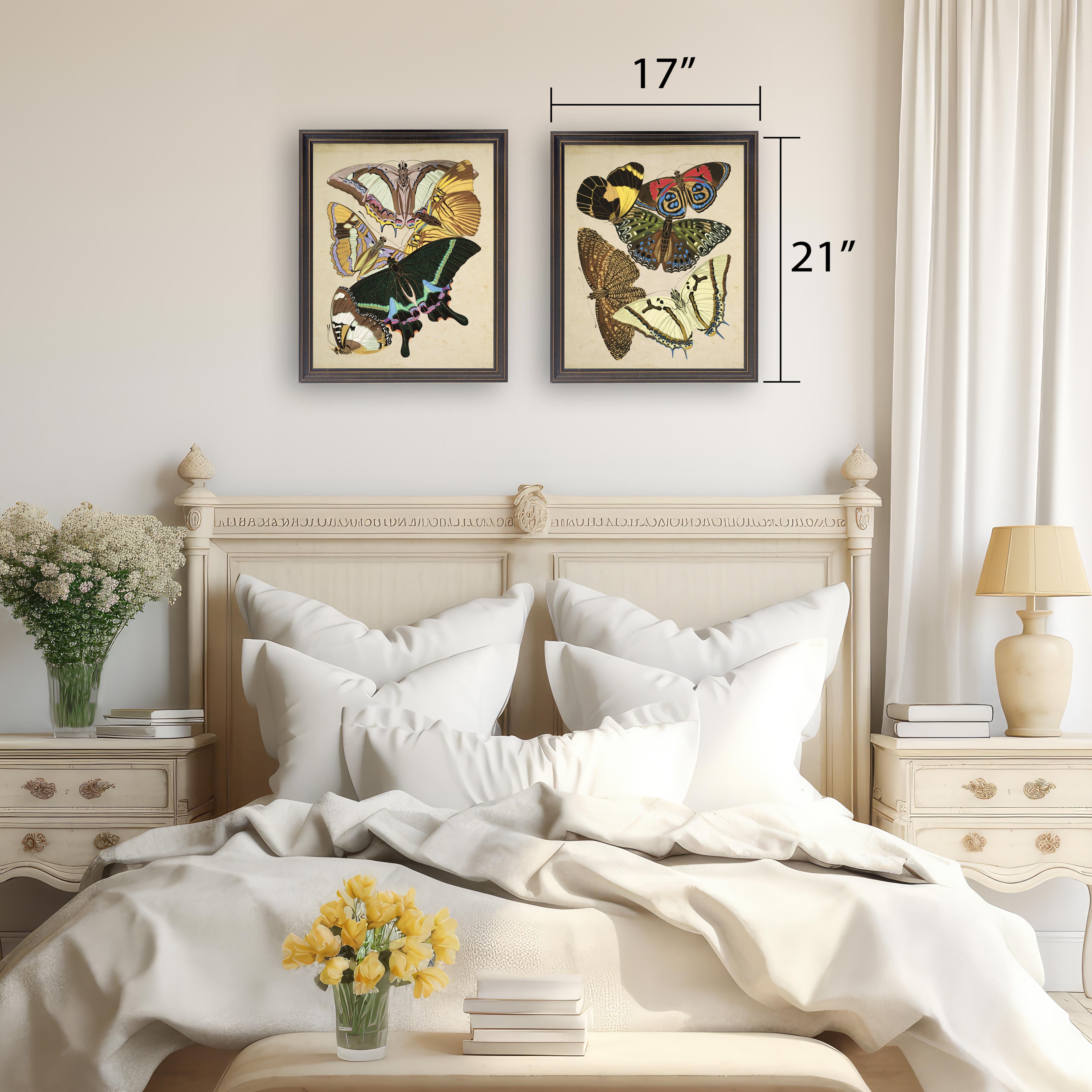 Multicolored Moths in Black and Gold Frame