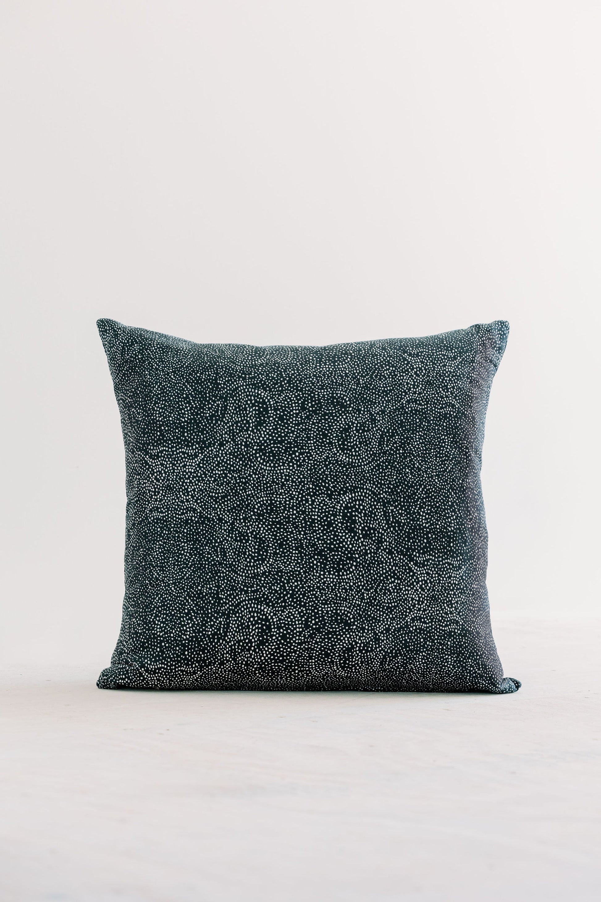 Palizada in Constellation 24" x 24" Pillow - at300nelson