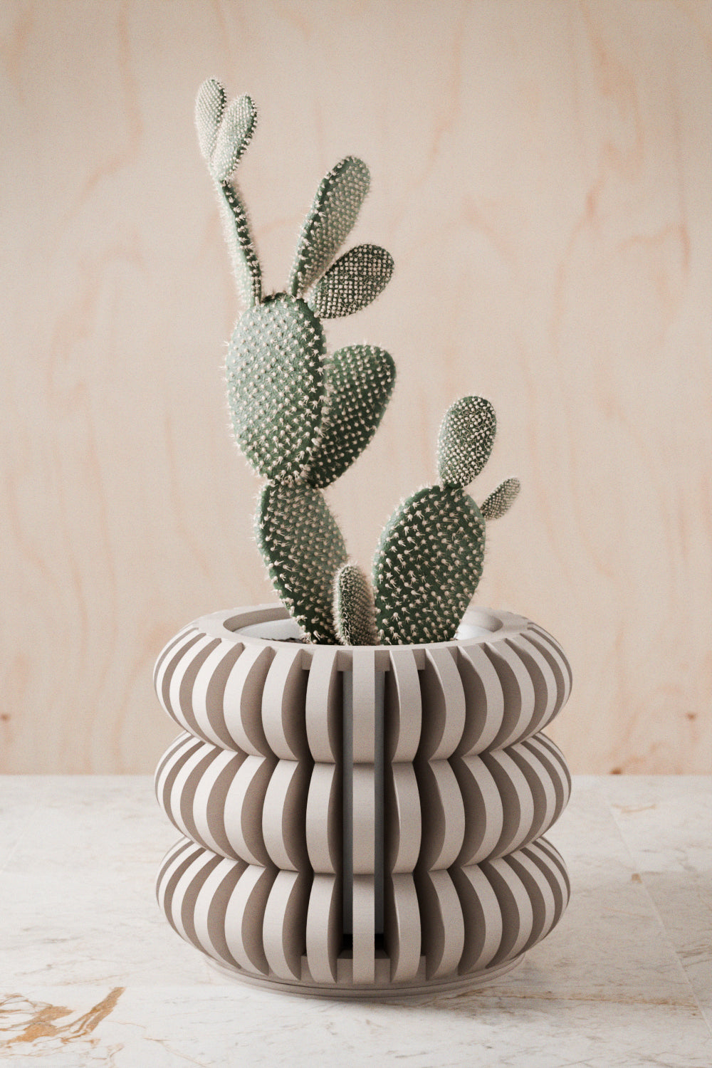 Cactus in a decorative pot on a wooden surface with a light wood background