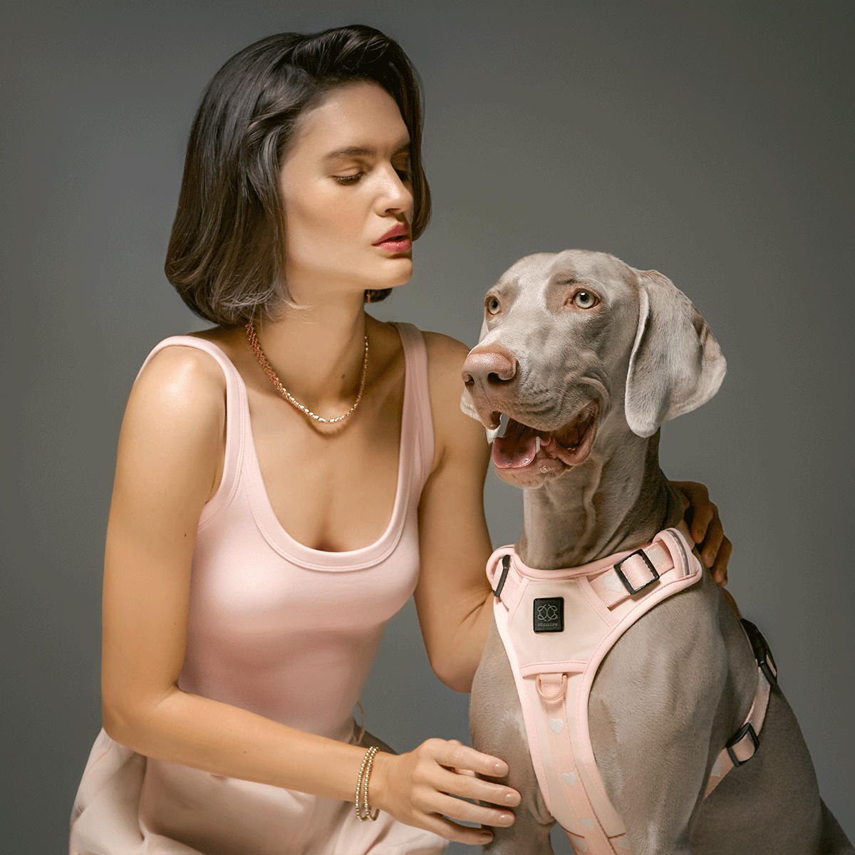designer dog leashes and collars, designer dog collar and leash, pet accessories designer, fancy harness for dogs, luxury dog harness, fancy dog stuff, pet accessories designer, stylish dog leash
