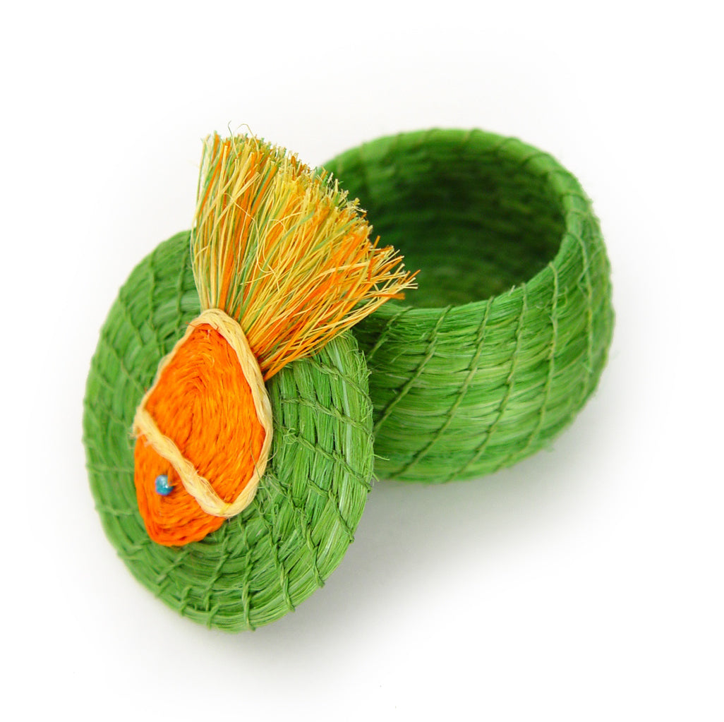 Swimming Fish Lidded Basket Open Lid
