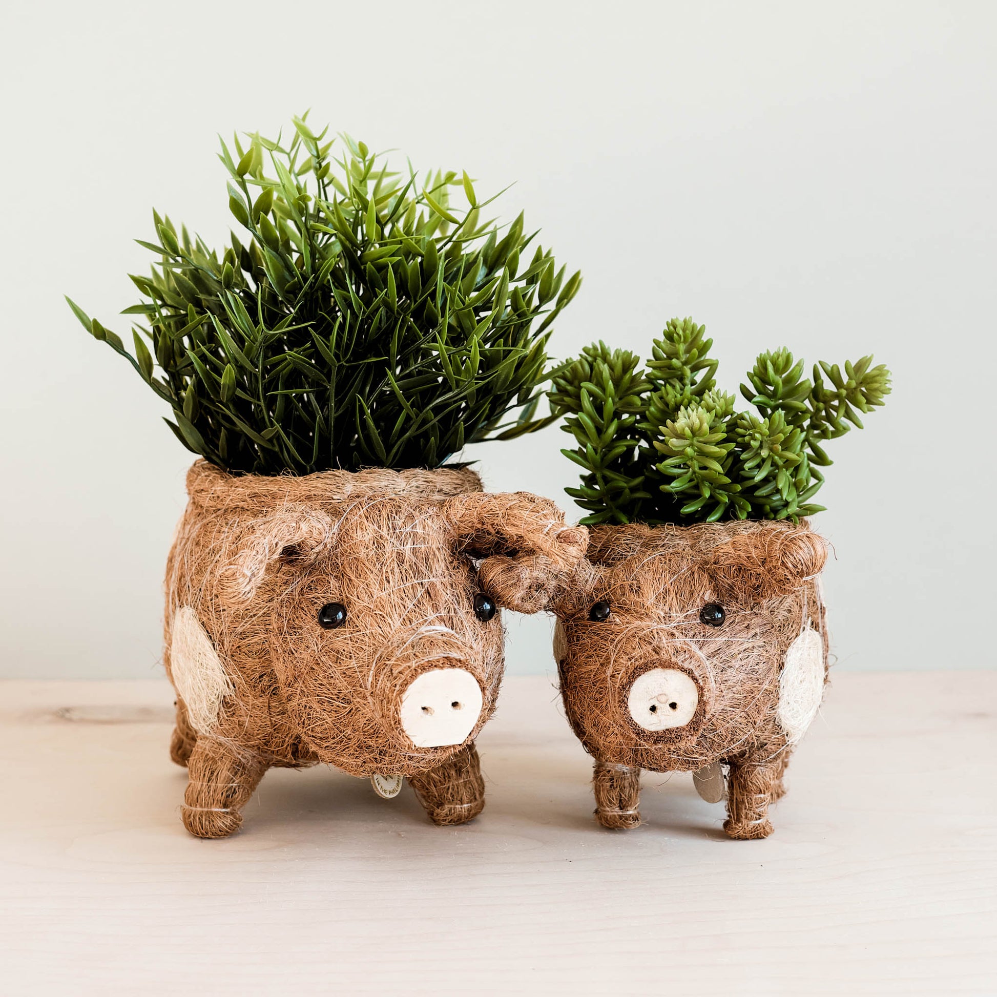 Planters - Baby Pig Succulent Pot - Handmade Planters | LIKHÂ - LIKHÂ