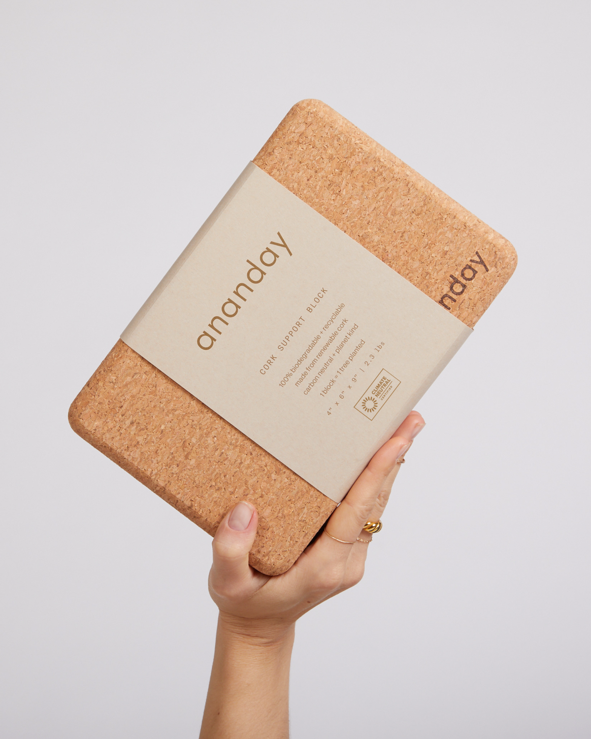 Cork Yoga Block Set - Ananday