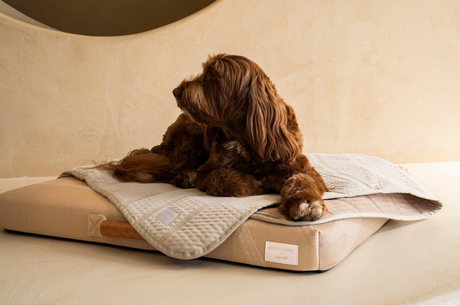 LAY LO™ Pets Brigette Romanek Brigette Romanek | Luxury Pet Blanket - Cream Lay Lo Pets