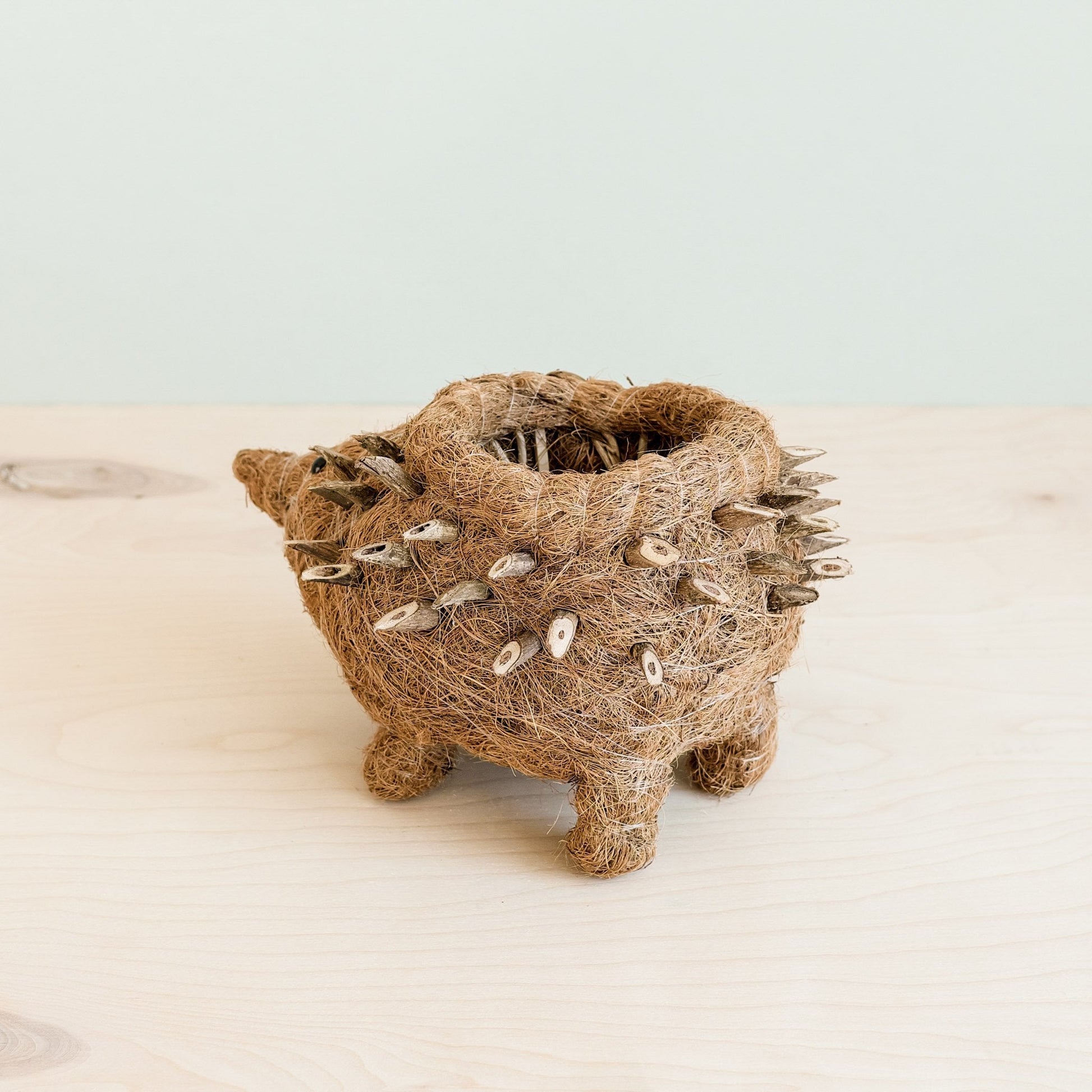 Planters - Hedgehog Planter - Coco Planter| LIKHÂ - LIKHÂ