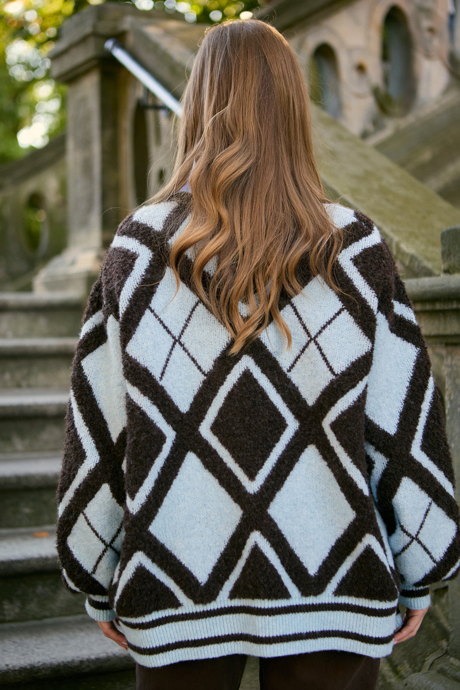 Open Argyle Knit Cardigan - Brown Multi