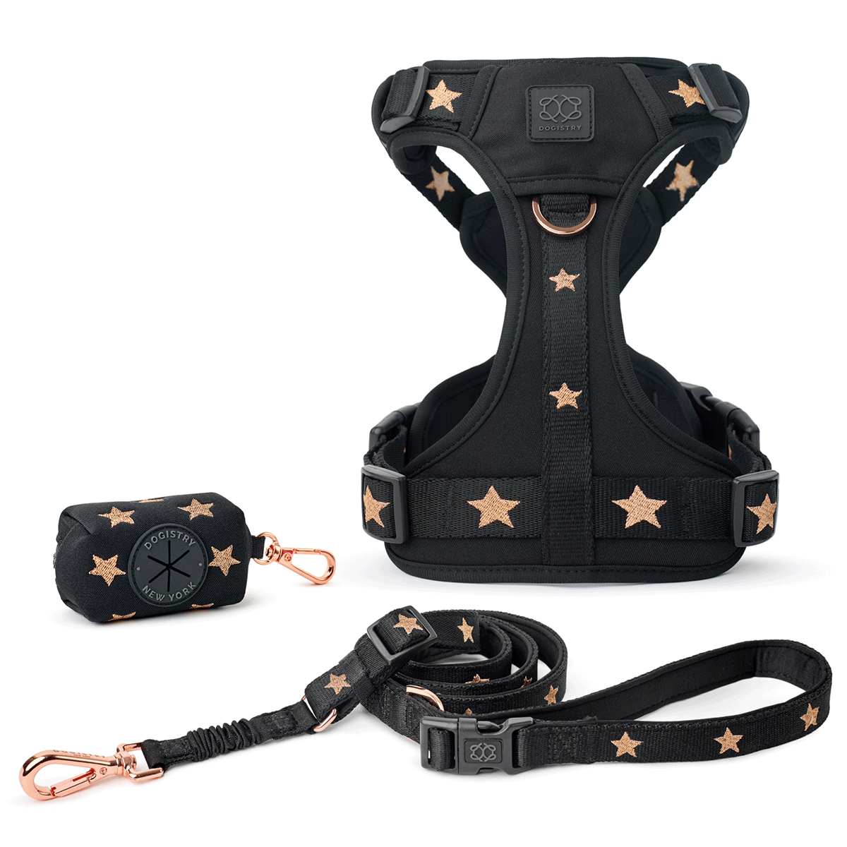 designer dog leashes and collars, designer dog collar and leash, pet accessories designer, fancy harness for dogs, luxury dog harness, fancy dog stuff, pet accessories designer, stylish dog leash