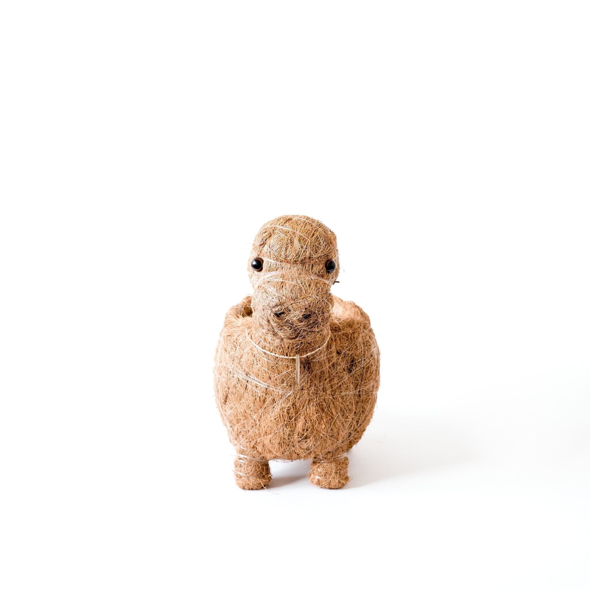 Planters - Brontosaurus Planter - Coco Coir Pots | LIKHÂ - LIKHÂ