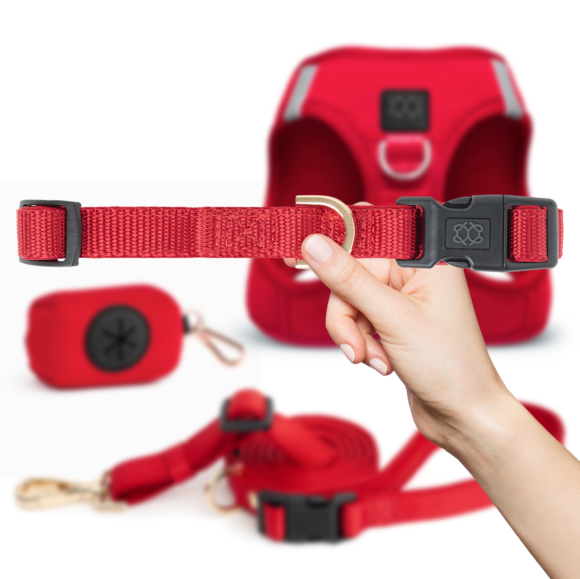 designer dog leashes and collars, designer dog collar and leash, pet accessories designer, fancy harness for dogs, luxury dog harness, fancy dog stuff, pet accessories designer, stylish dog leash