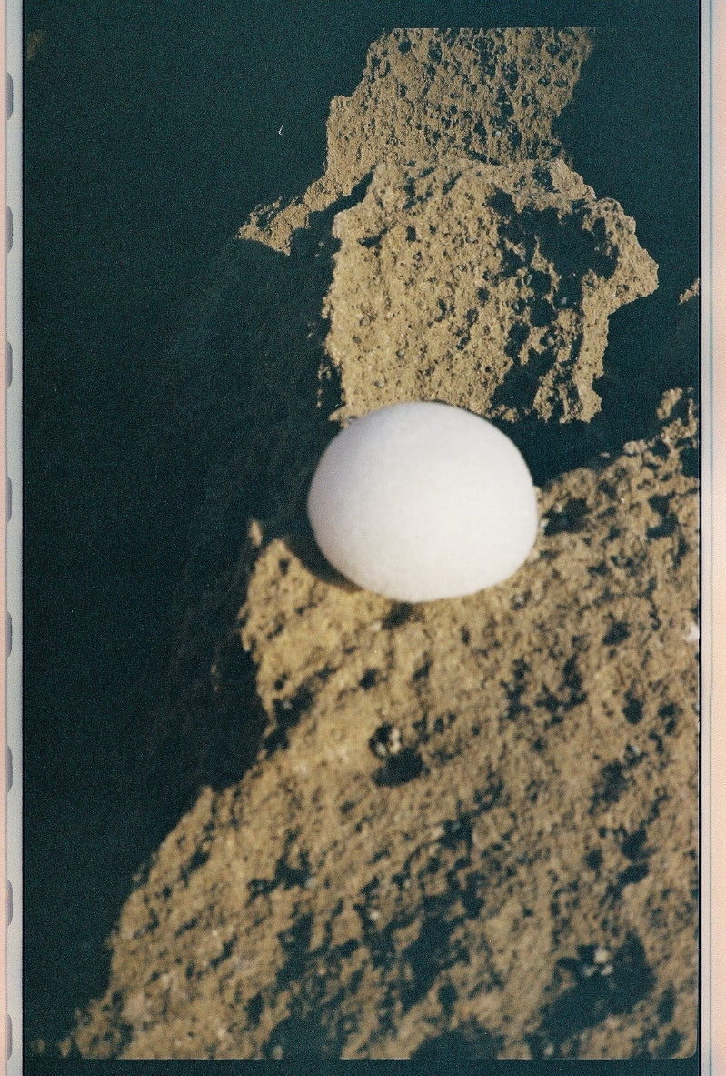 Clear Konjac Sponge - FORAH