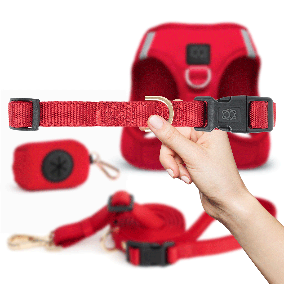 designer dog leashes and collars, designer dog collar and leash, pet accessories designer, fancy harness for dogs, luxury dog harness, fancy dog stuff, pet accessories designer, stylish dog leash