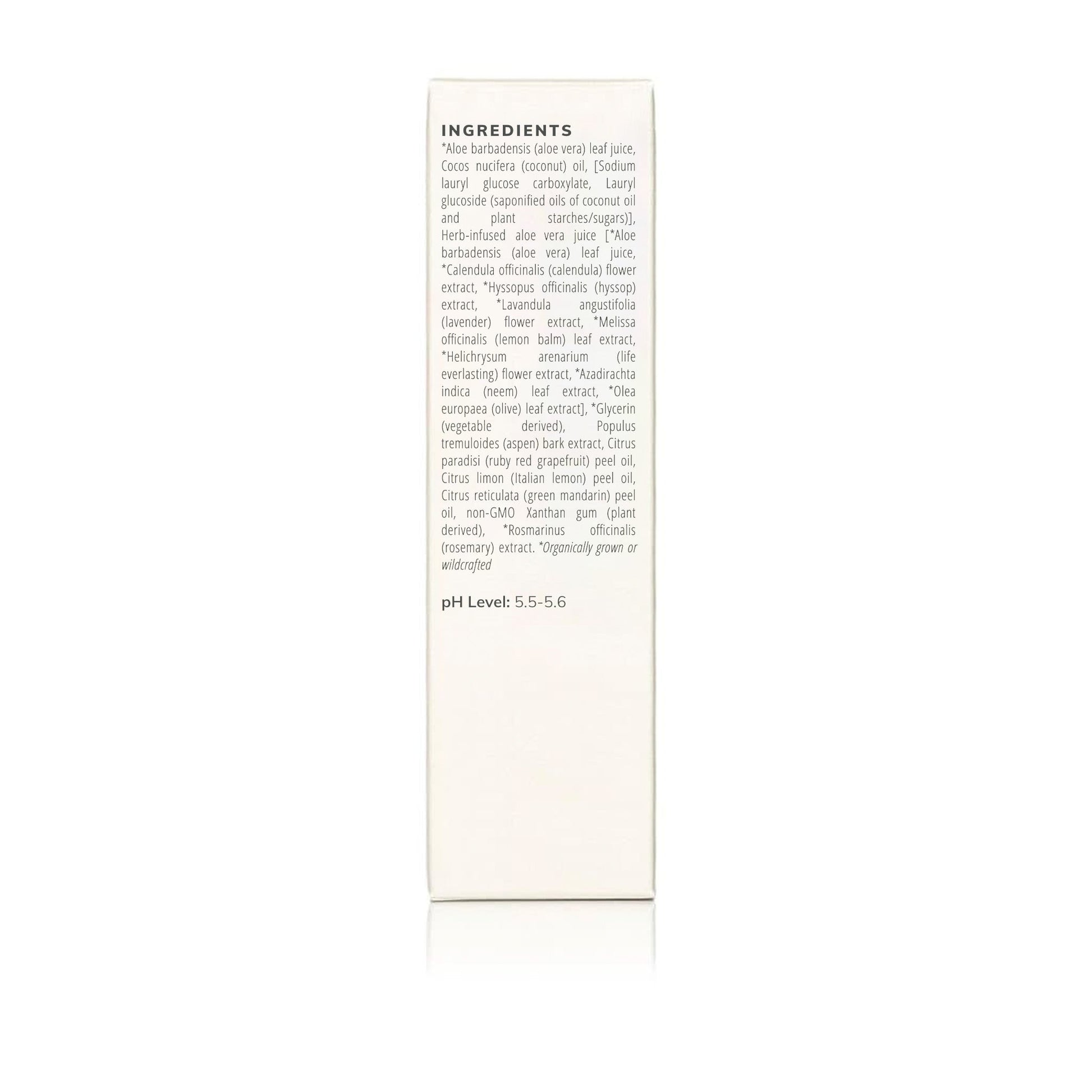 Annmarie Aloe Herb Cleanser herb-infused facial cream cleanser package featuring all the ingredients on the back of the box on a white plain background.
