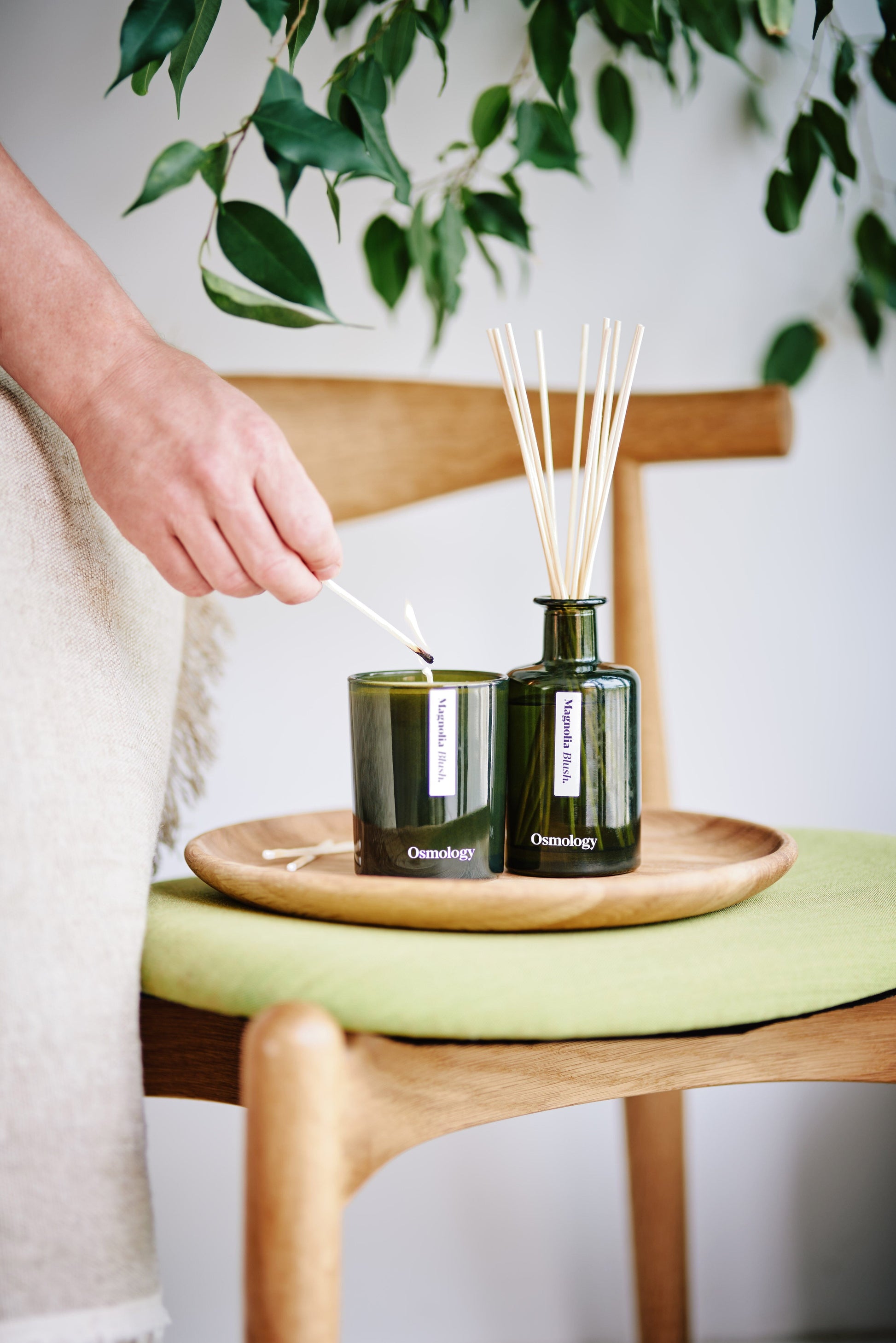 Magnolia Blush diffuser and candle sat on wooden chair 