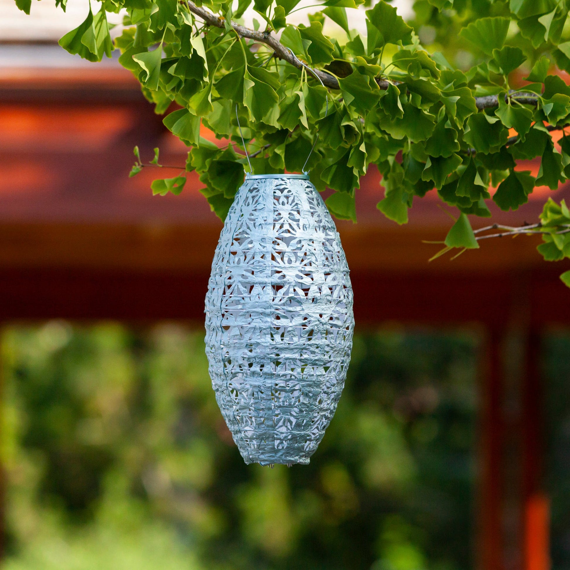 Stella Wildflower Pod Sage in tree