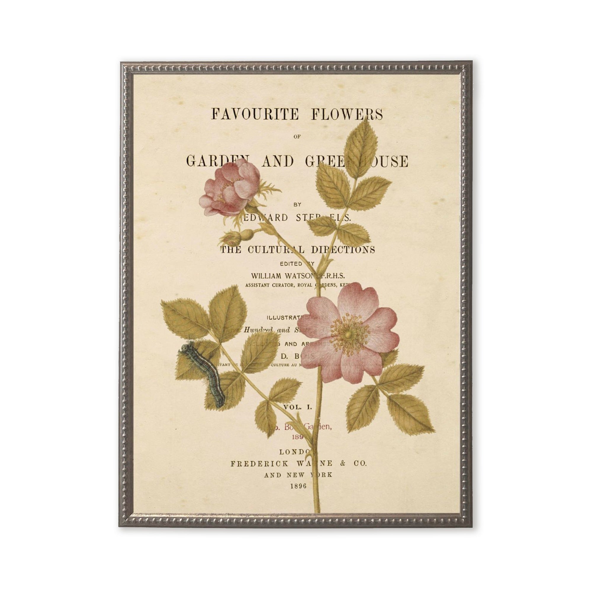 Pink Flowers On Book Page in Silver-Beaded Frame
