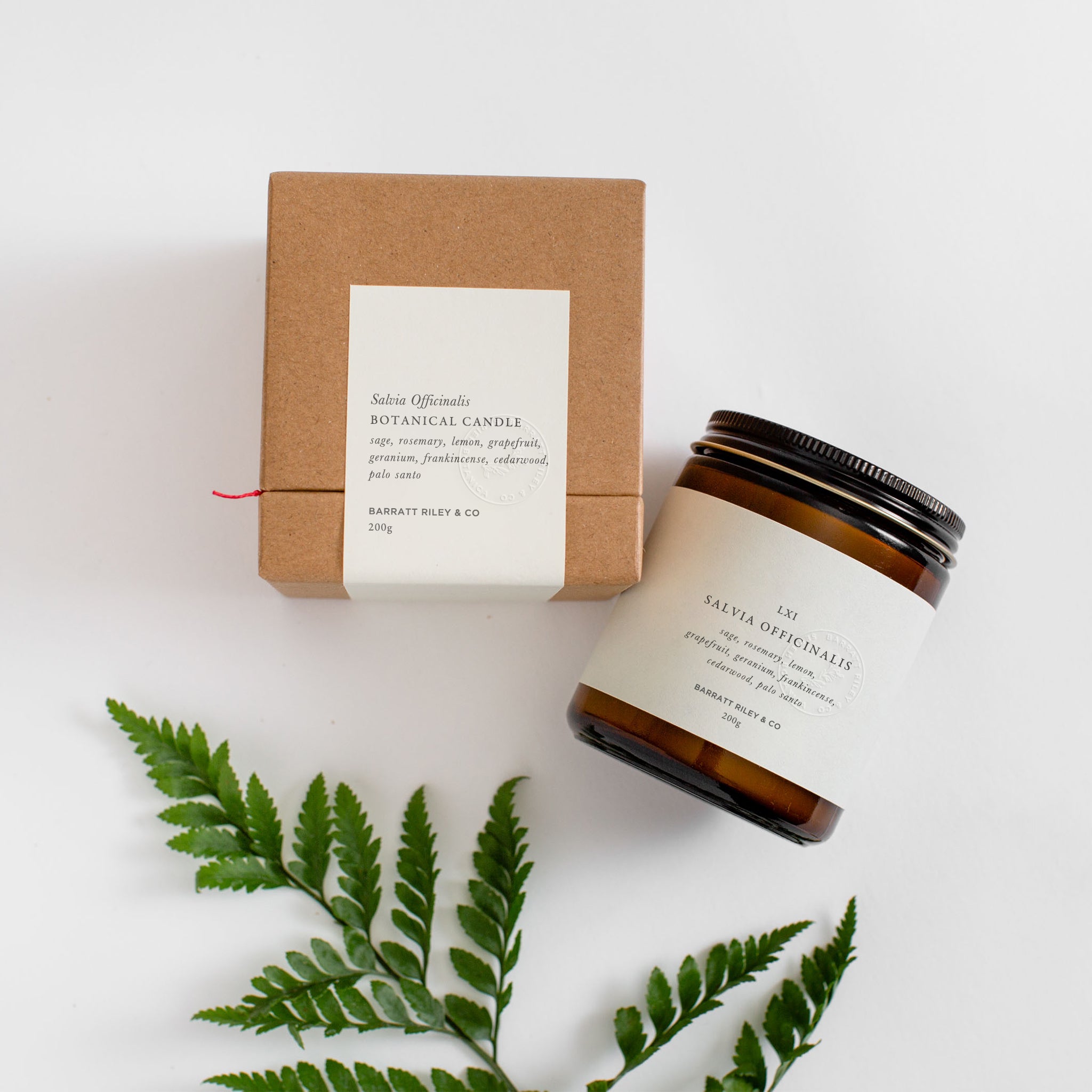 Salvia Officinalis Botanical Candle
