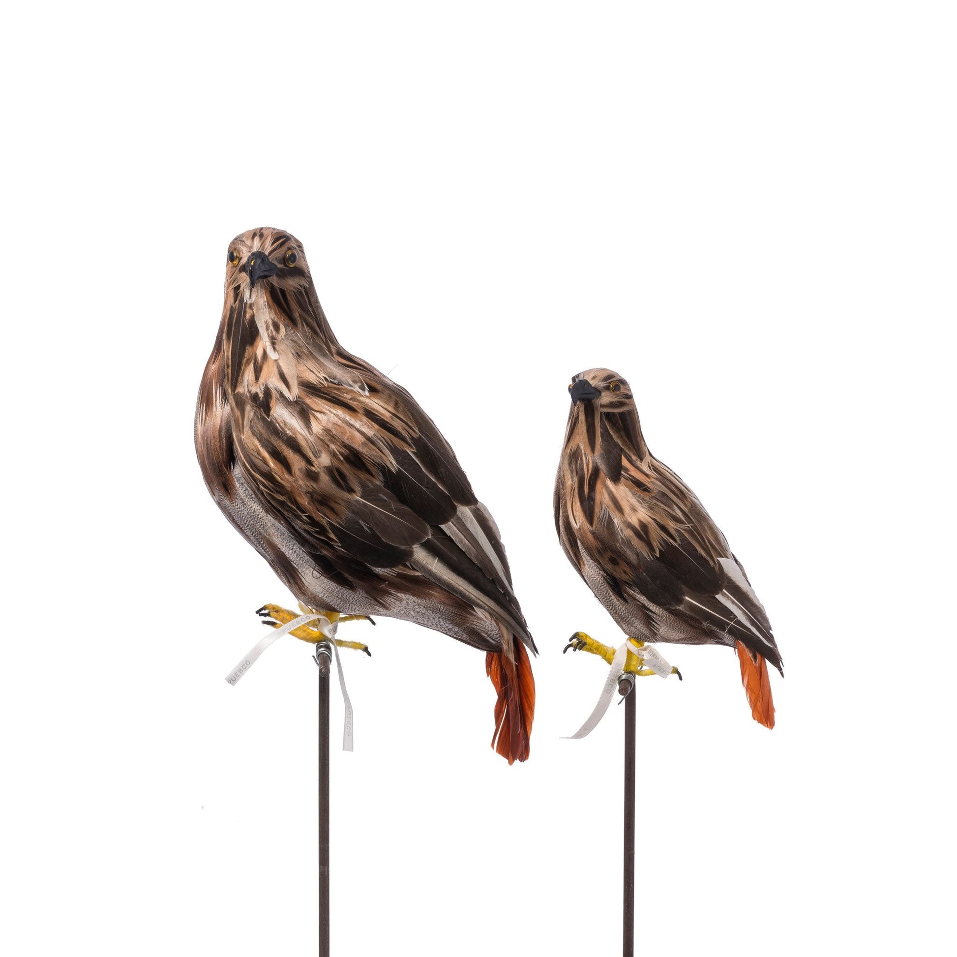 Artificial Birds Eagle 1