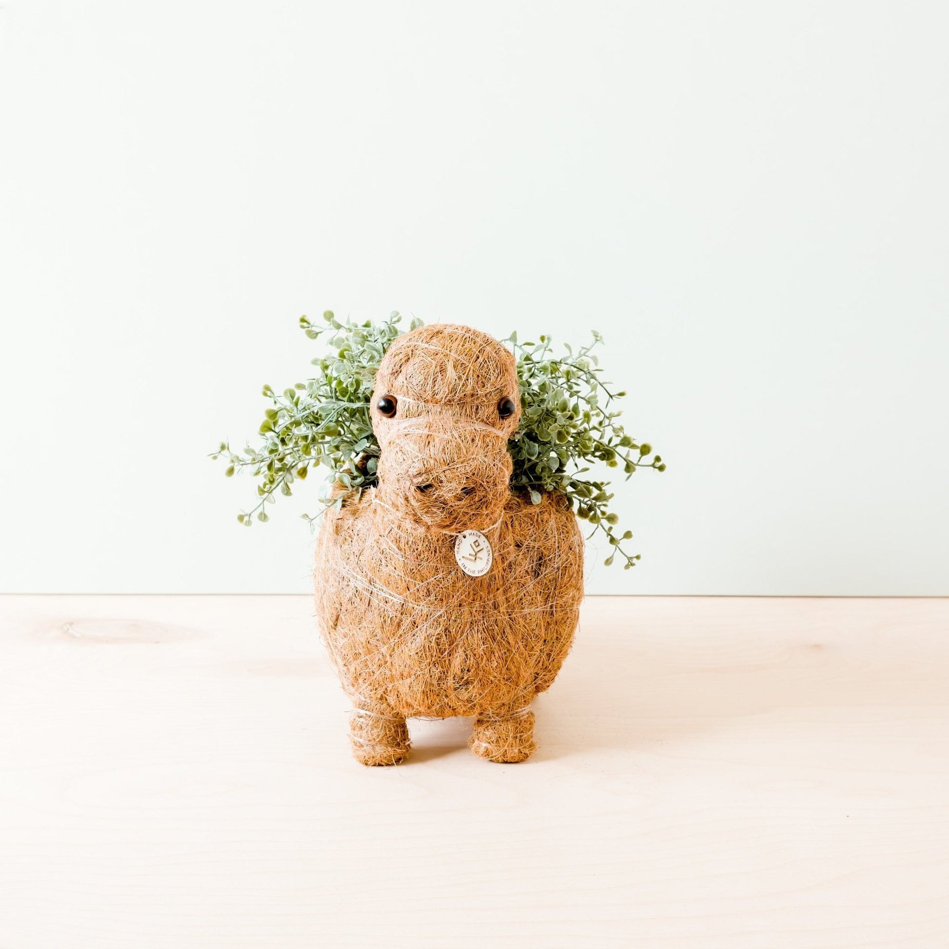 Planters - Brontosaurus Planter - Coco Coir Pots | LIKHÂ - LIKHÂ