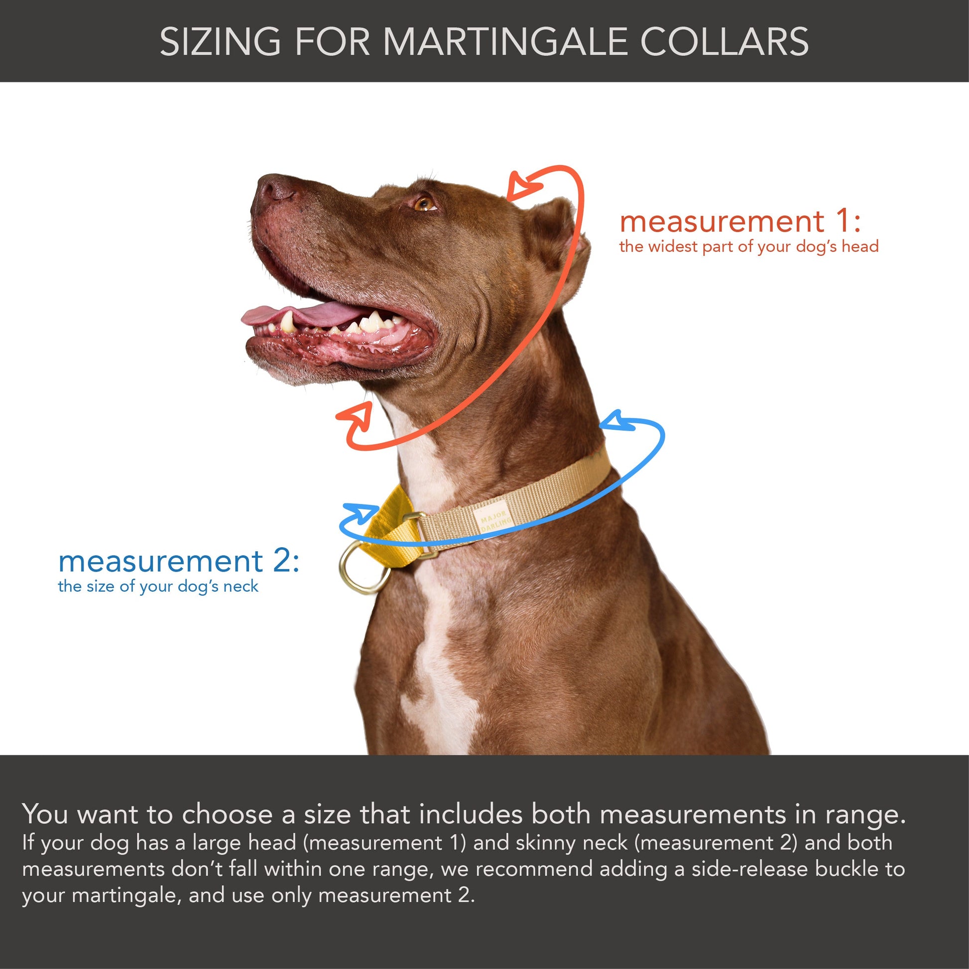 martingale collar / CUSTOM COLORS - Major Darling