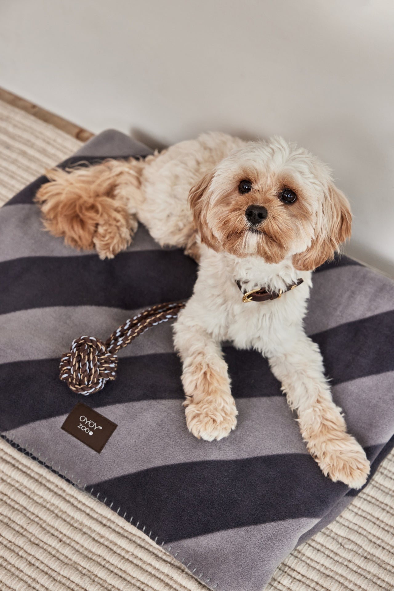 Kaya Dog Blanket Large 5