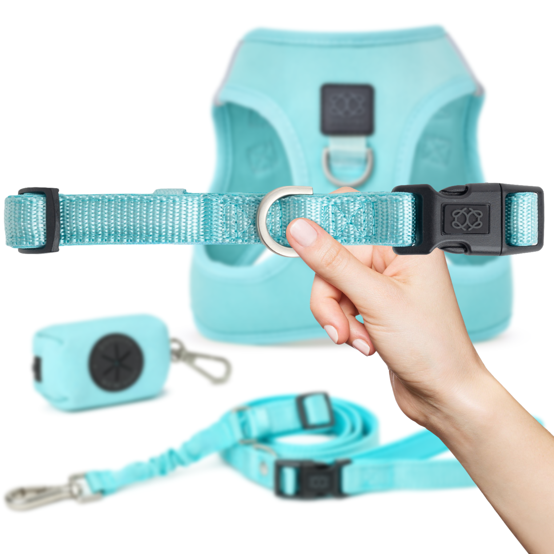 designer dog leashes and collars, designer dog collar and leash, pet accessories designer, fancy harness for dogs, luxury dog harness, fancy dog stuff, pet accessories designer, stylish dog leash