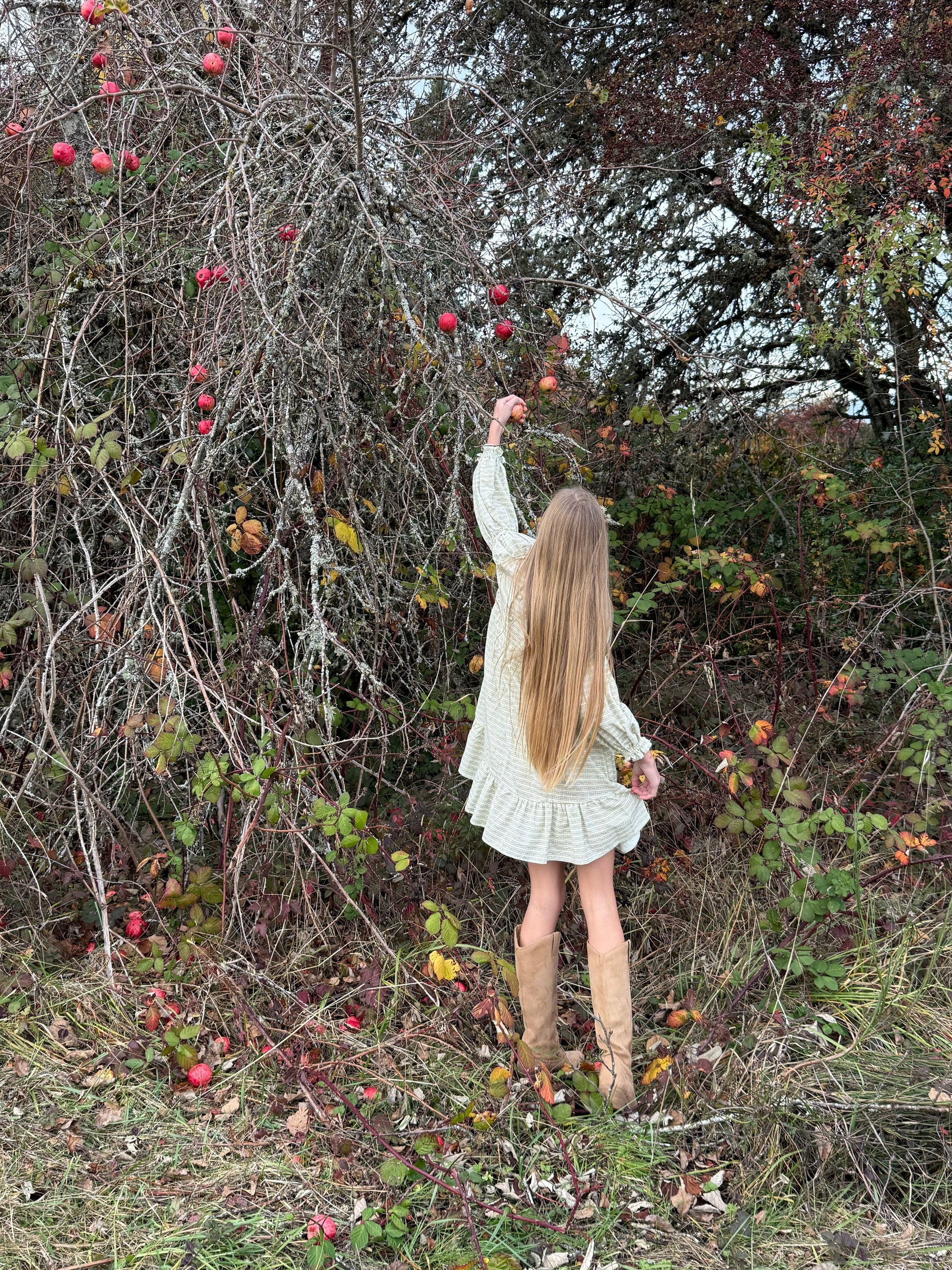 Person in a white dress standing in an apple orchard with bare trees and fallen apples.