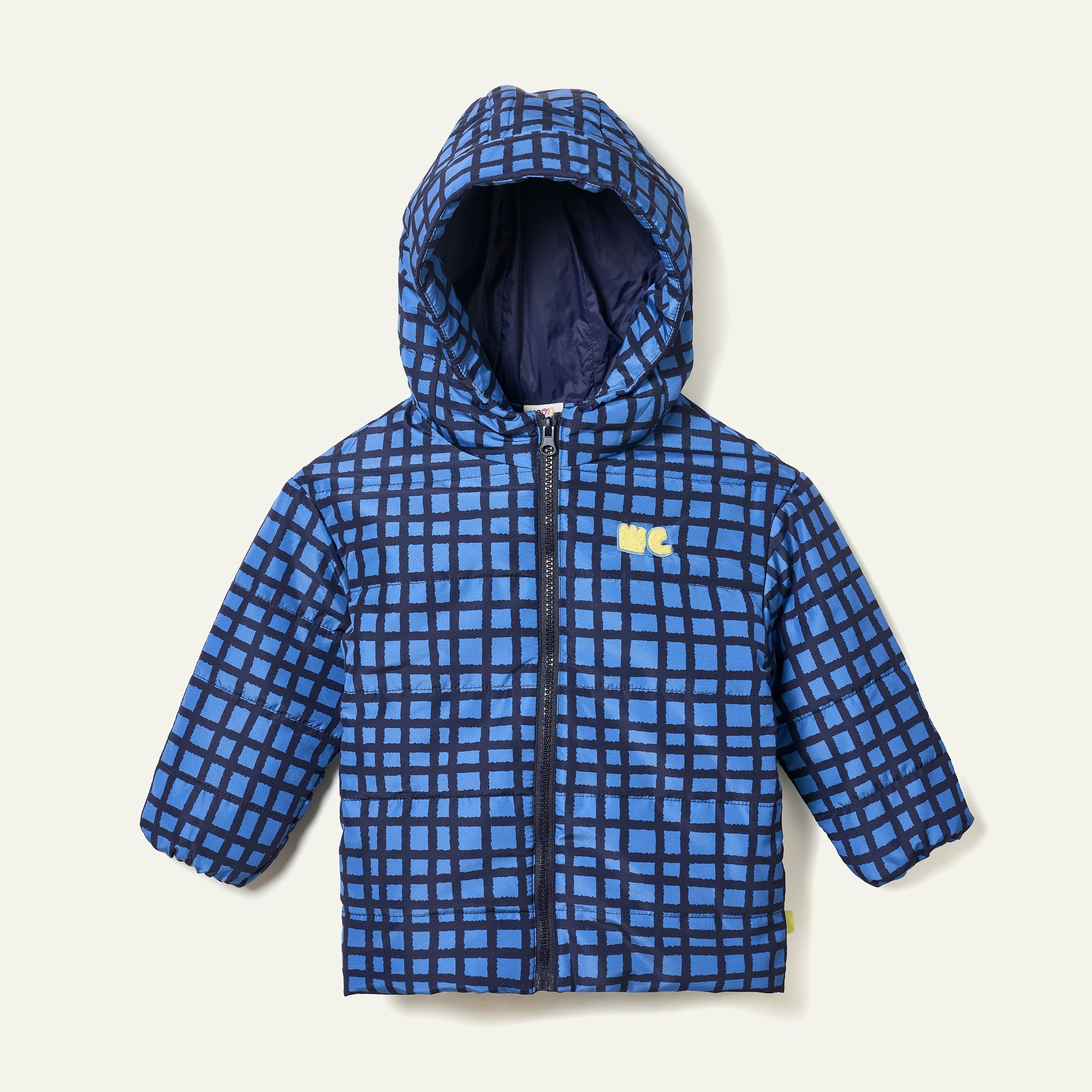 Blue Grid Puffer