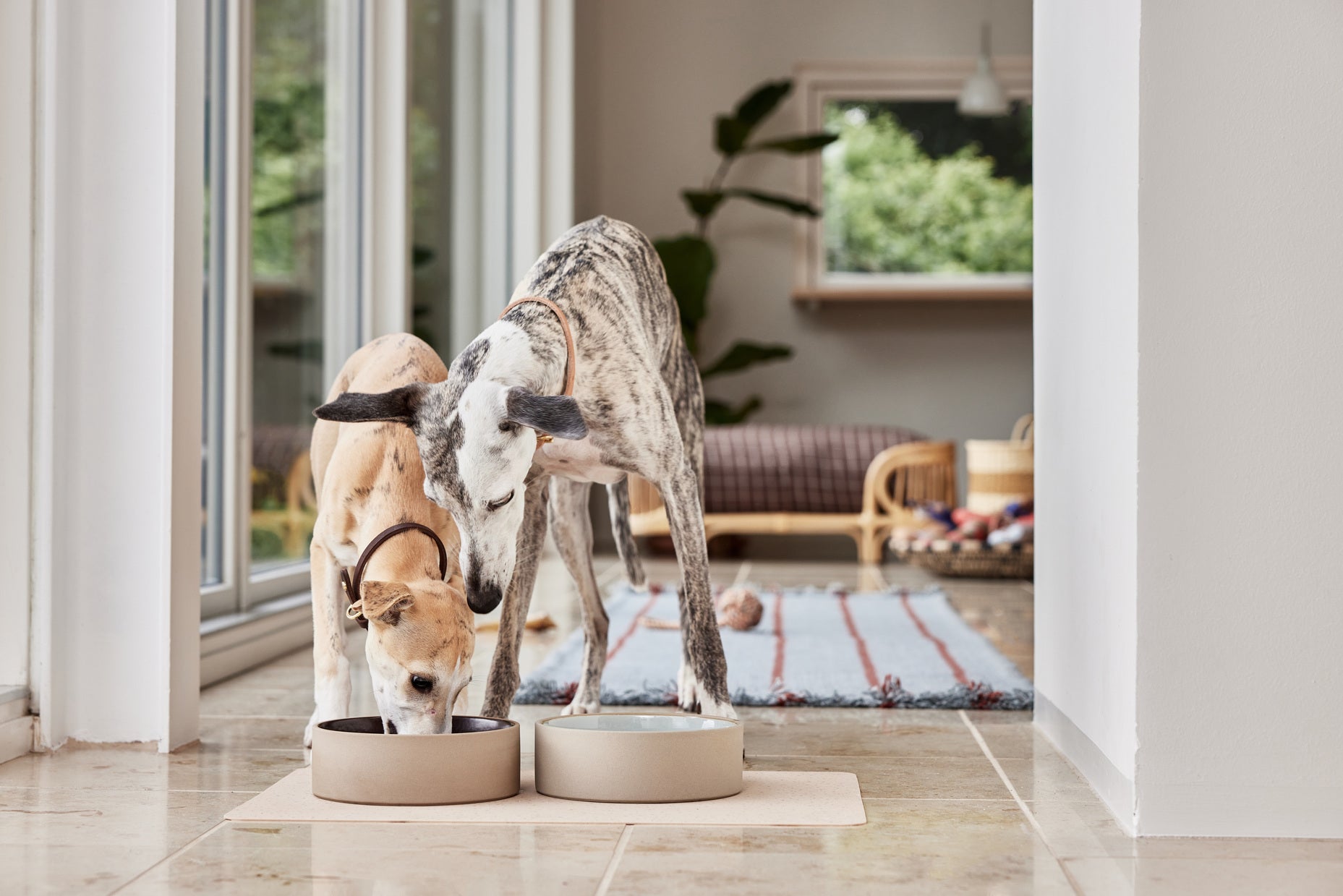 Sia Dog Bowl Medium 7