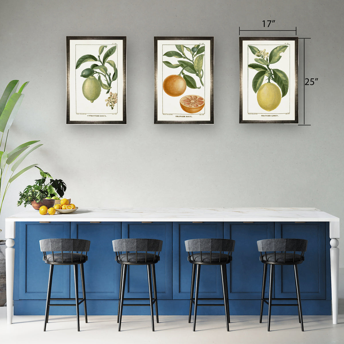 Lemon Plant in Silver Frame