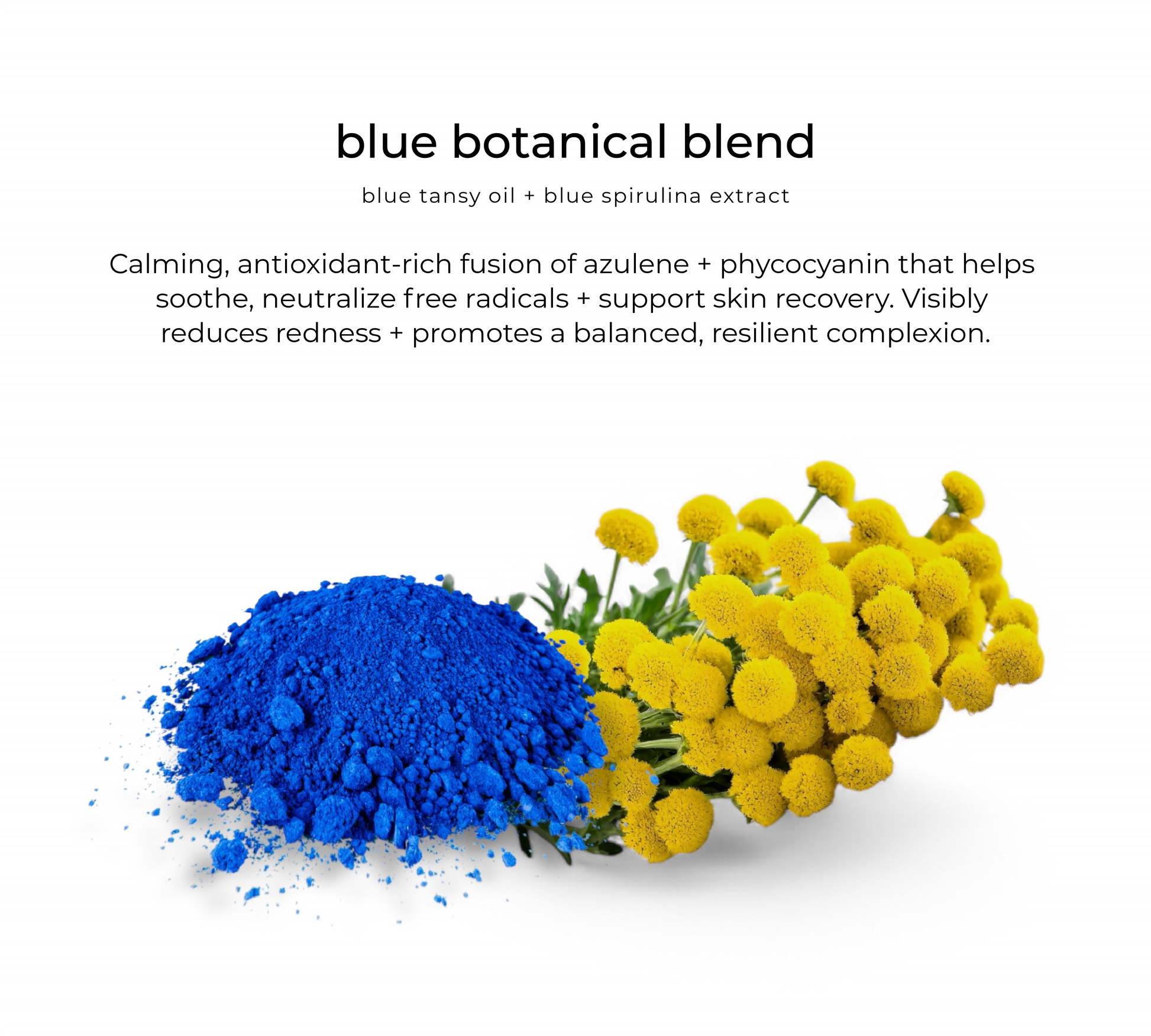 Blue botanical blend — key ingredient in Habitual hydrator